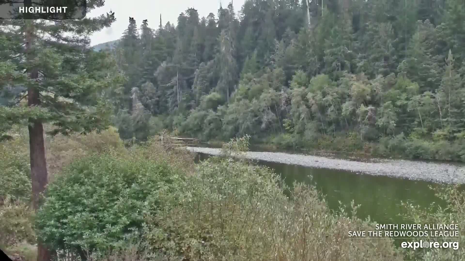 A calm river flows through a lush green forest on an overcast day.