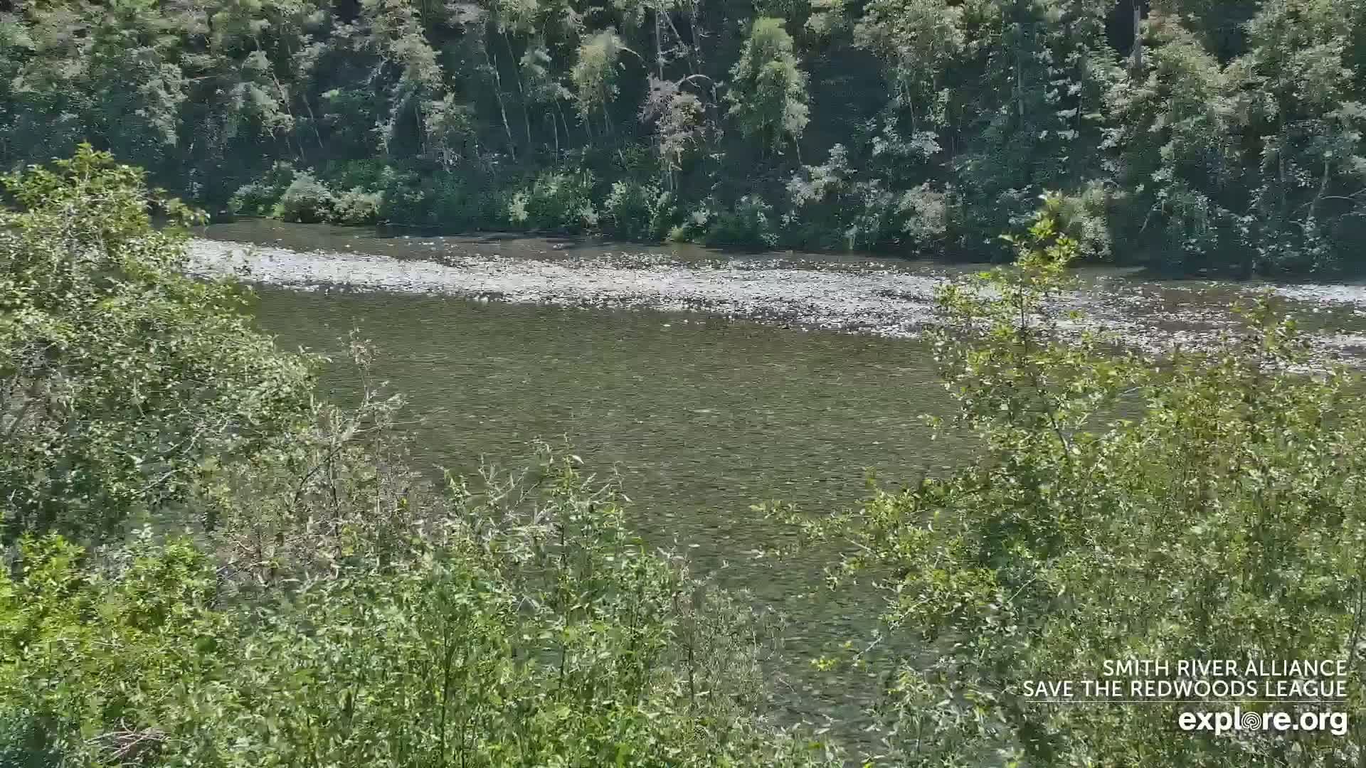 Crescent City, Jedediah Smith Redwoods State Park & Smith River Live Cam - Crescent City, Del Norte, California, USA