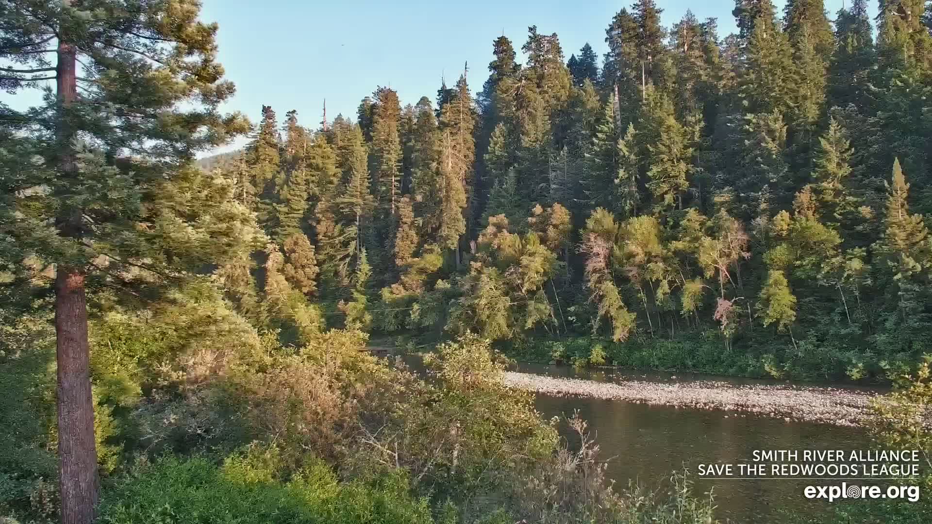 Crescent City, Jedediah Smith Redwoods State Park & Smith River Live Cam - Crescent City, Del Norte, California, USA