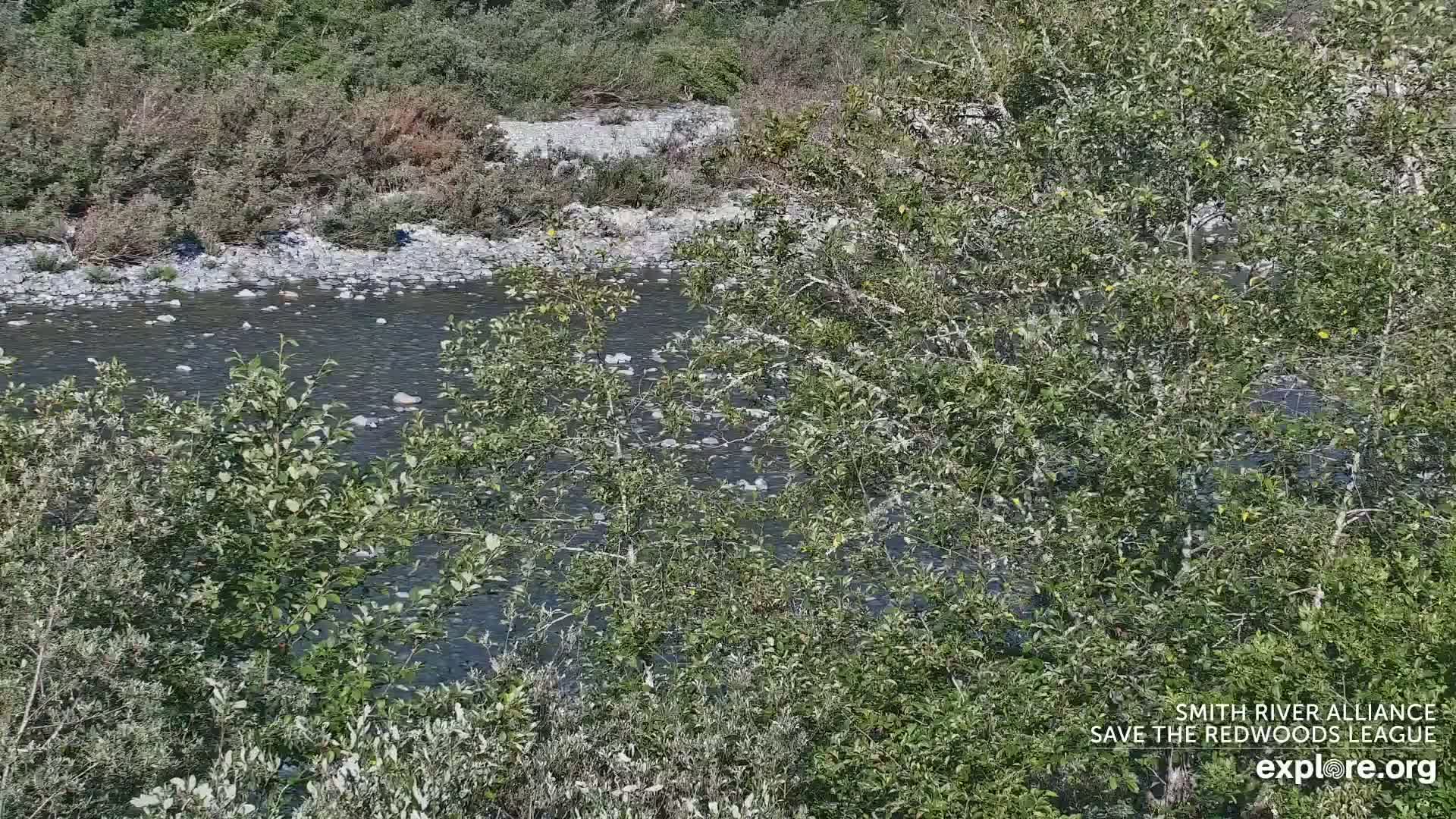 Crescent City, Jedediah Smith Redwoods State Park & Smith River Live Cam - Crescent City, Del Norte, California, USA