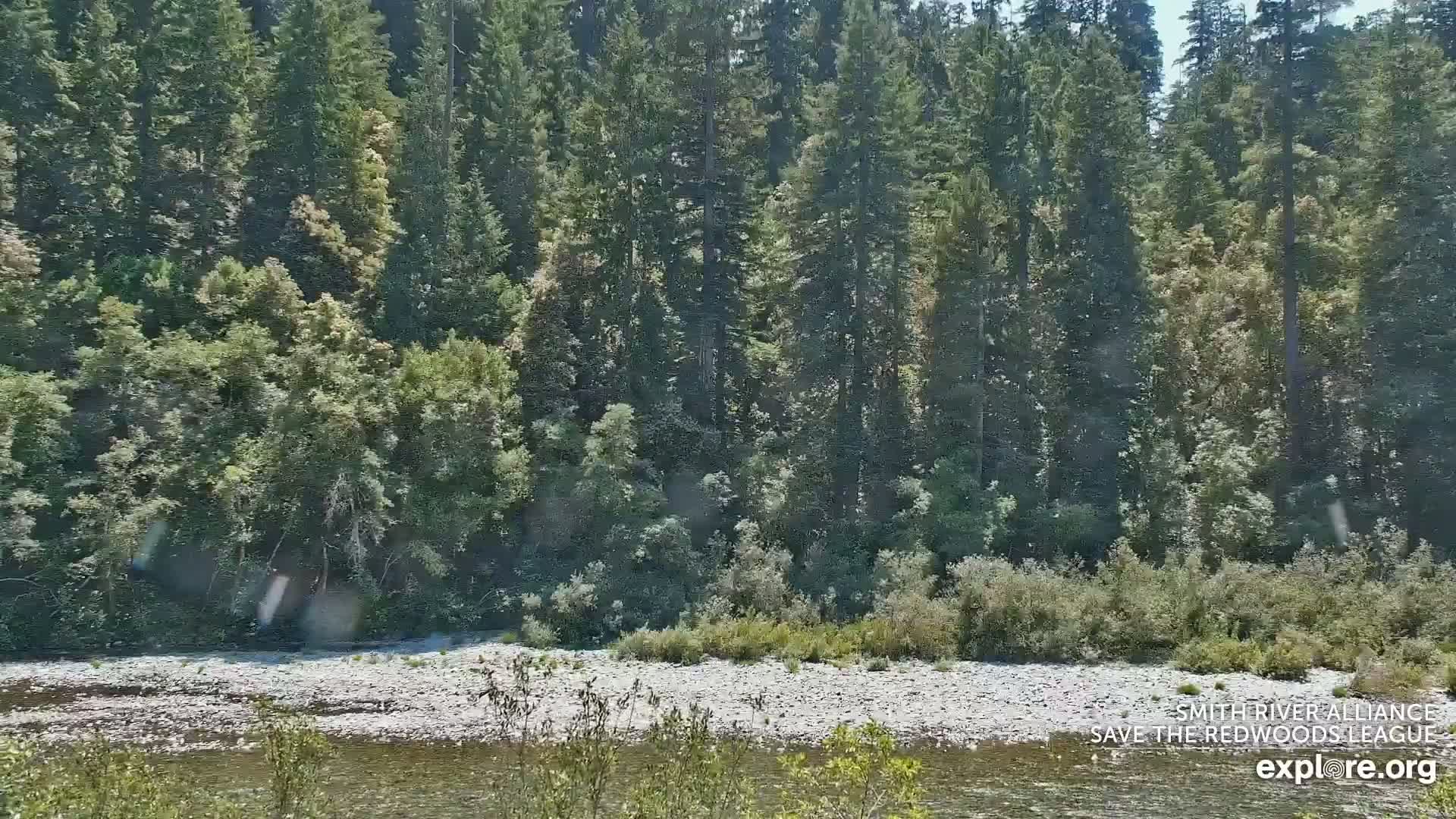Crescent City, Jedediah Smith Redwoods State Park & Smith River Live Cam - Crescent City, Del Norte, California, USA