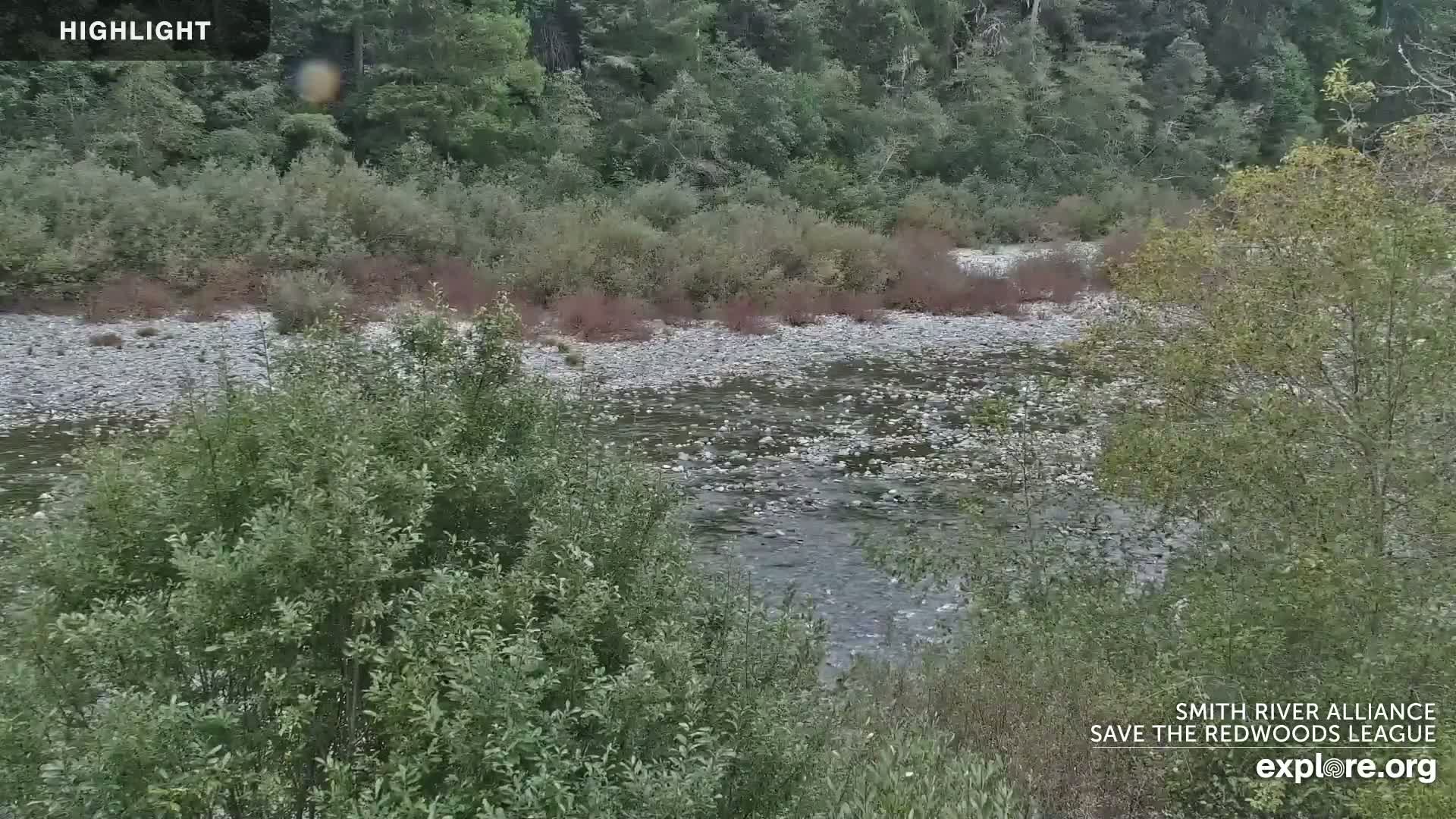 Crescent City, Jedediah Smith Redwoods State Park & Smith River Live Cam - Crescent City, Del Norte, California, USA