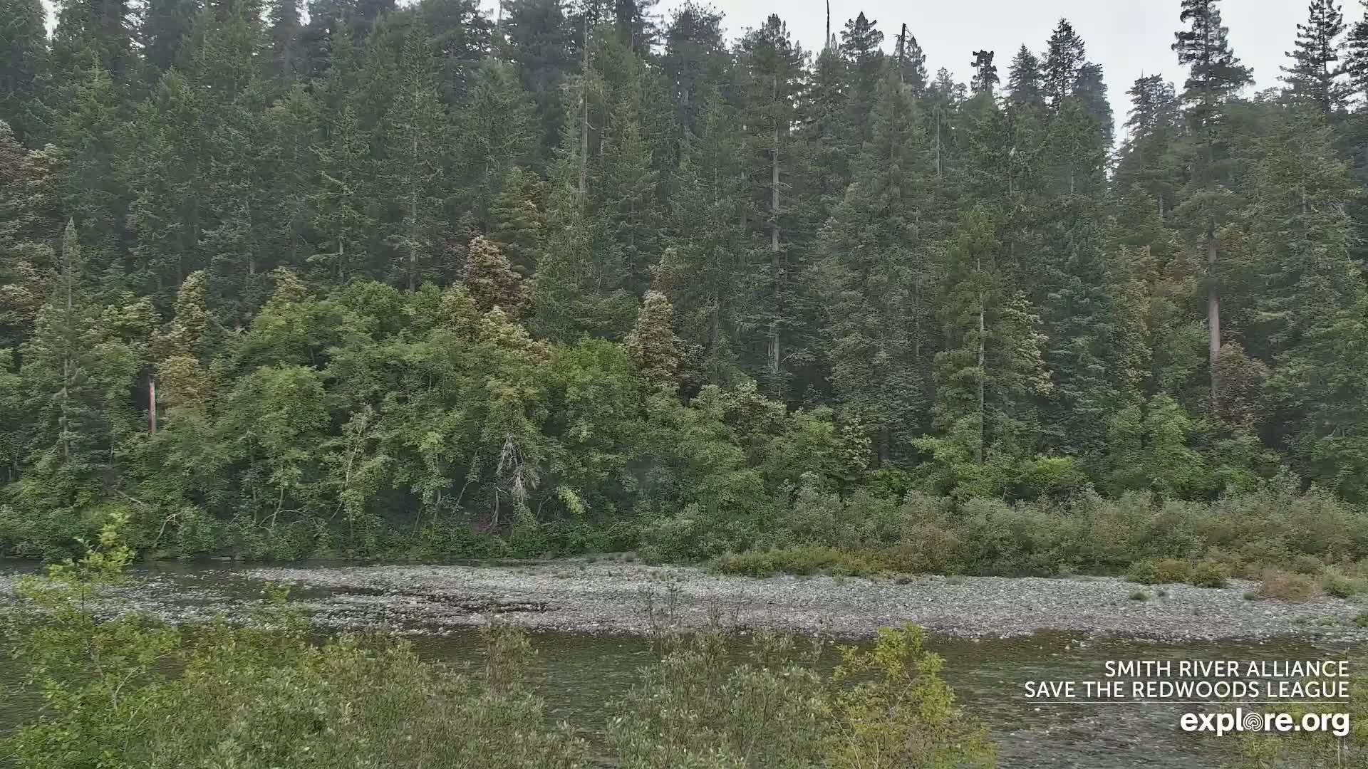 Crescent City, Jedediah Smith Redwoods State Park & Smith River Live Cam - Crescent City, Del Norte, California, USA