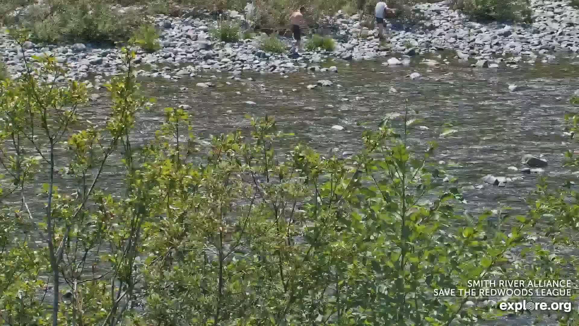 Crescent City, Jedediah Smith Redwoods State Park & Smith River Live Cam - Crescent City, Del Norte, California, USA
