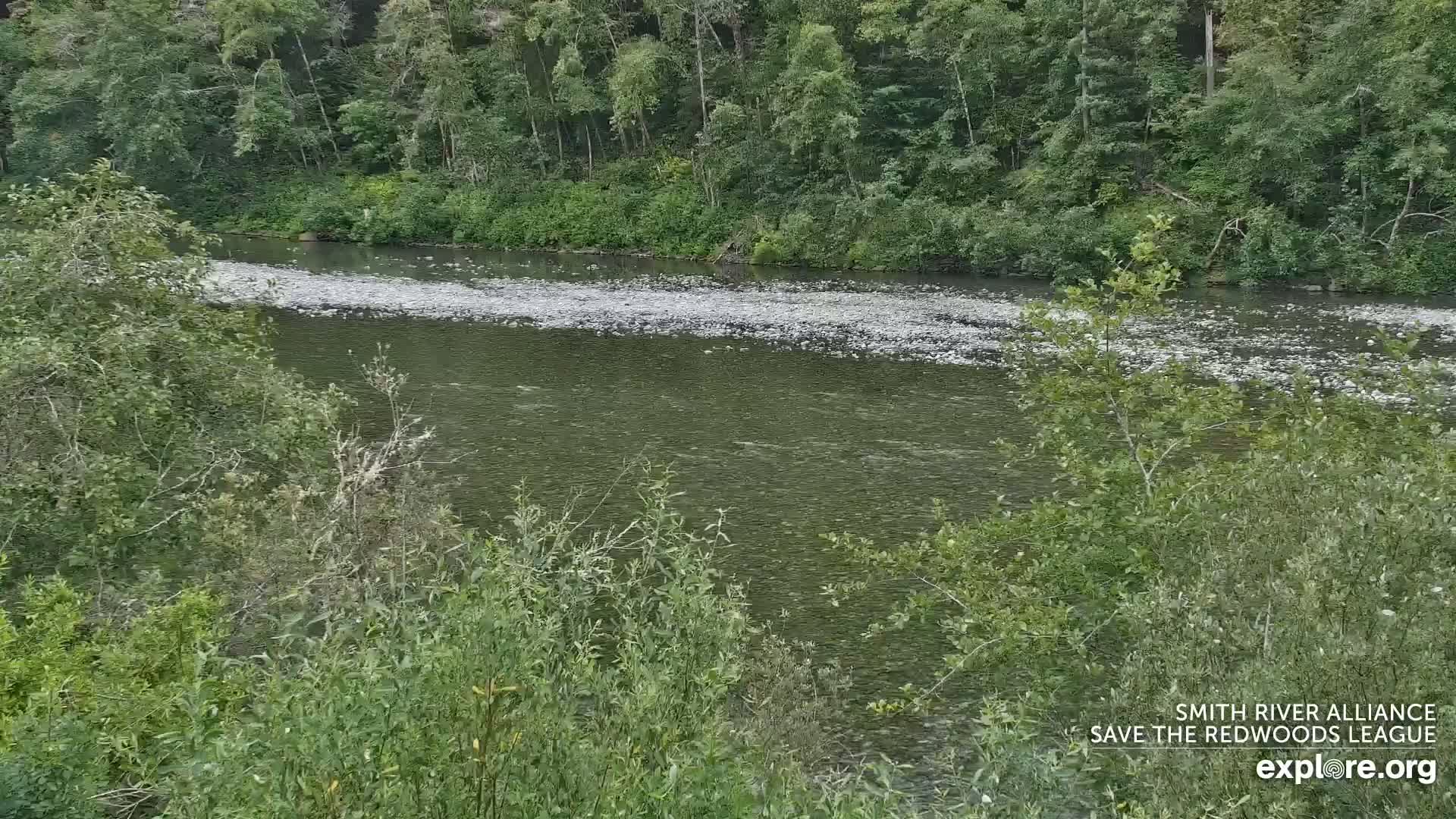 Crescent City, Jedediah Smith Redwoods State Park & Smith River Live Cam - Crescent City, Del Norte, California, USA