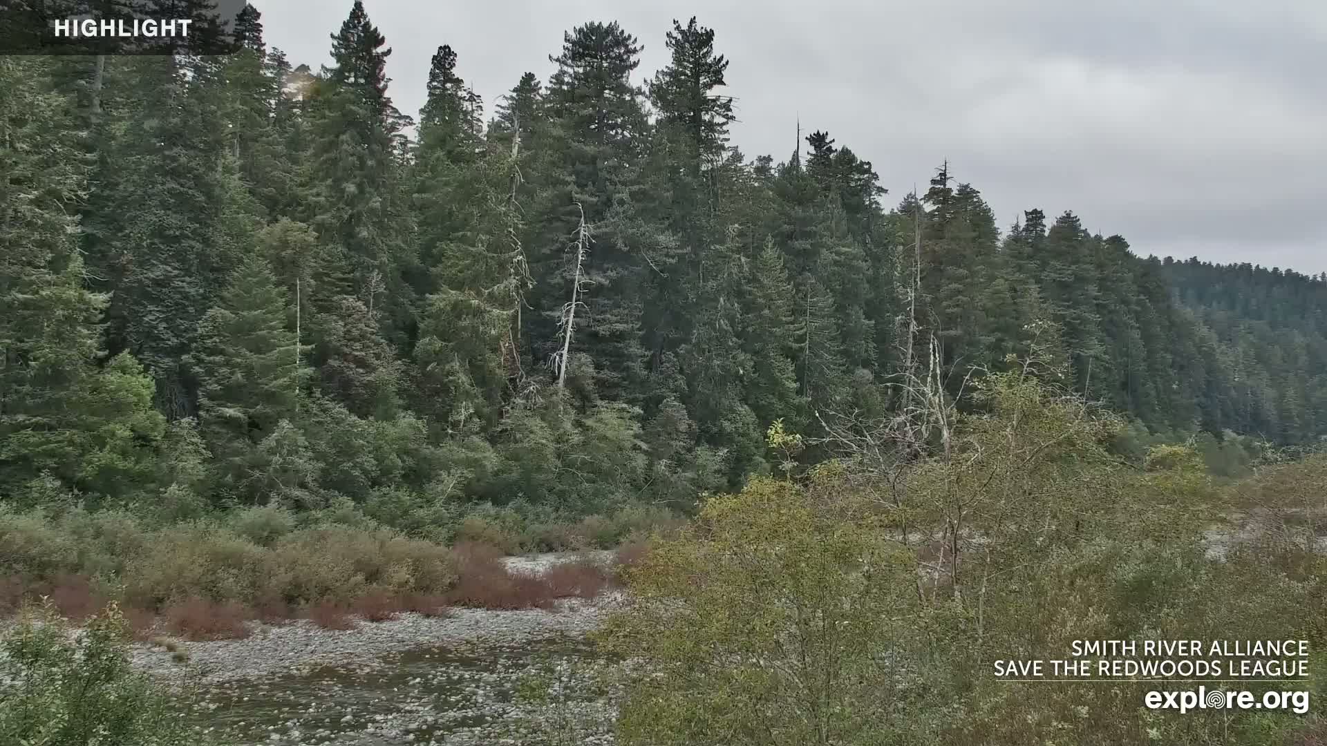 Crescent City, Jedediah Smith Redwoods State Park & Smith River Live Cam - Crescent City, Del Norte, California, USA