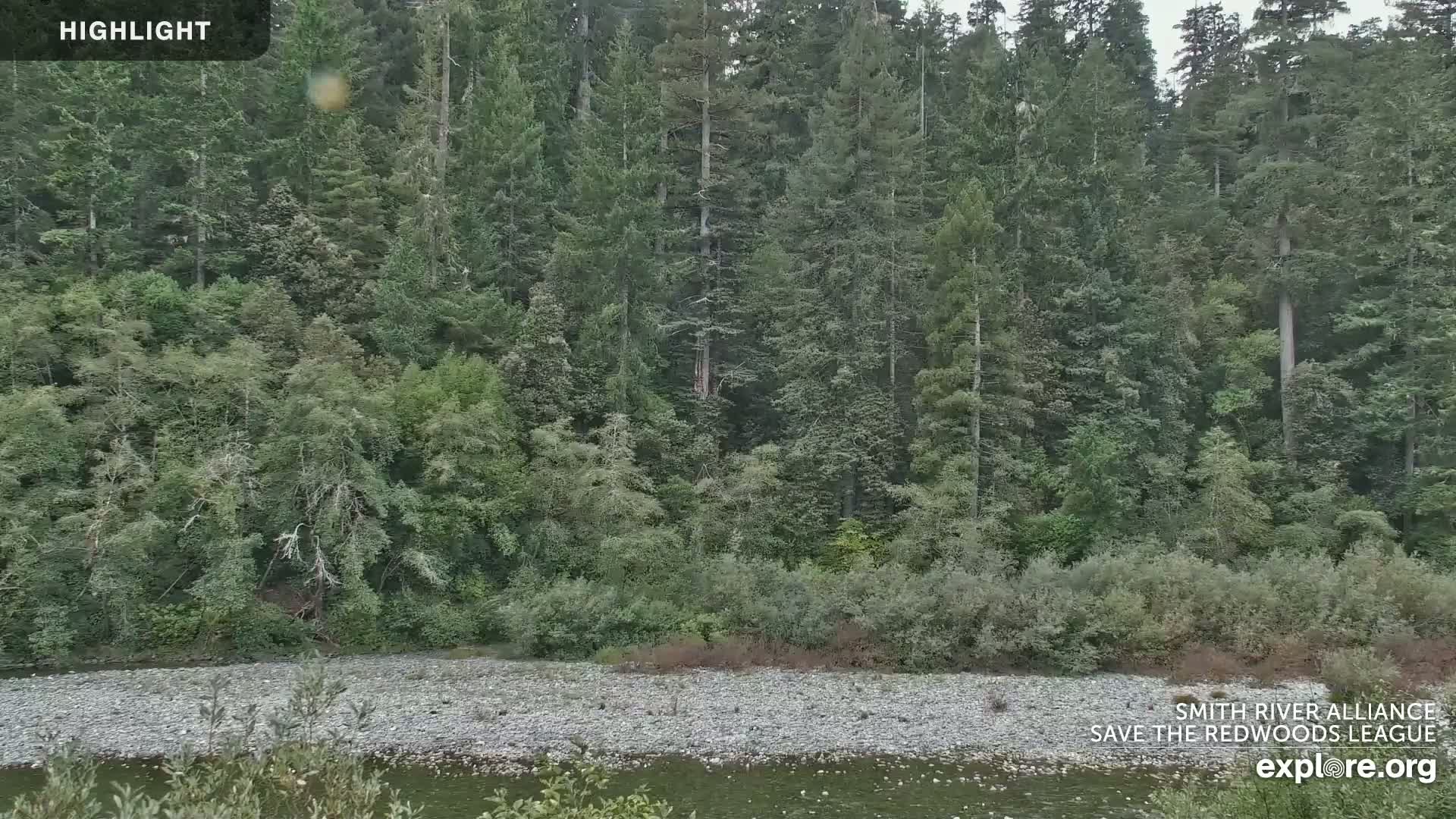 Crescent City, Jedediah Smith Redwoods State Park & Smith River Live Cam - Crescent City, Del Norte, California, USA