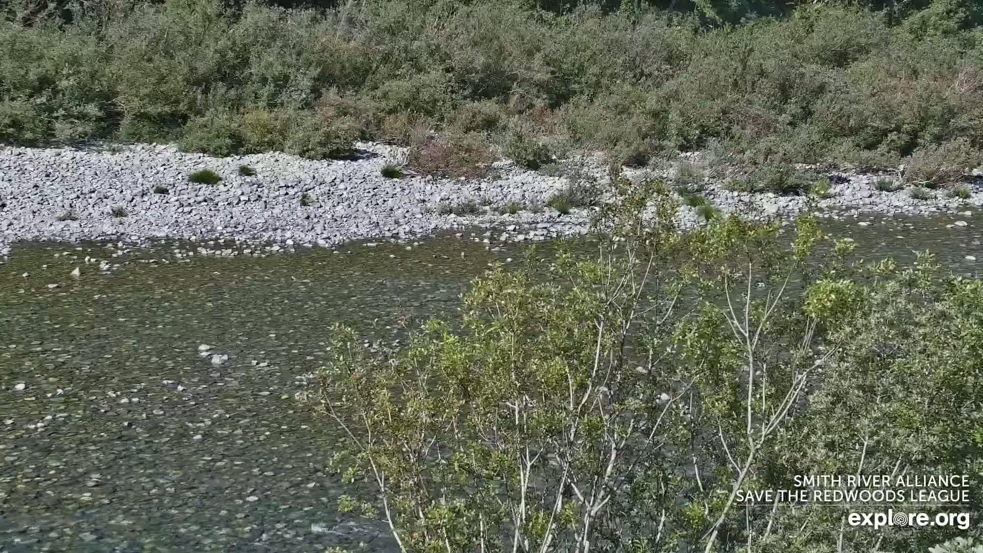 Crescent City, Jedediah Smith Redwoods State Park & Smith River Live Cam - Crescent City, Del Norte, California, USA