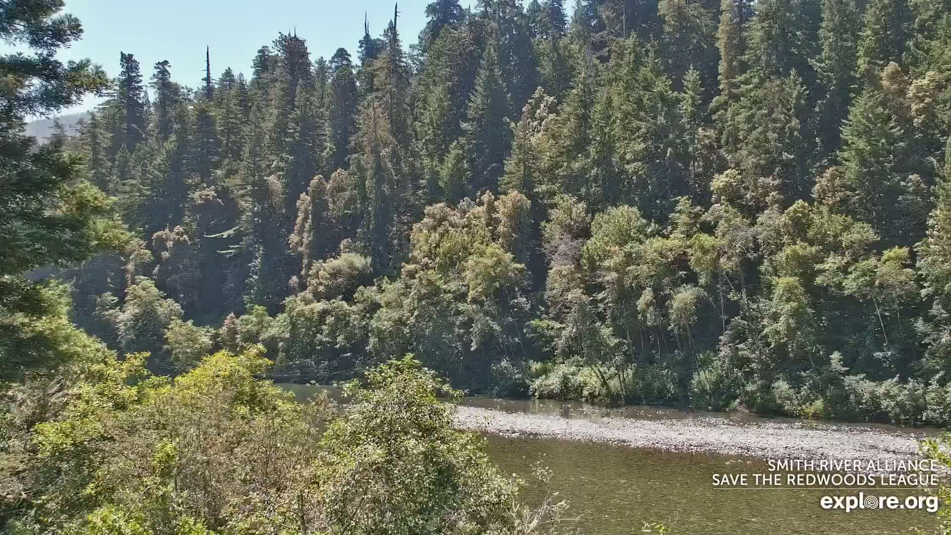 Crescent City, Jedediah Smith Redwoods State Park & Smith River Live Cam - Crescent City, Del Norte, California, USA