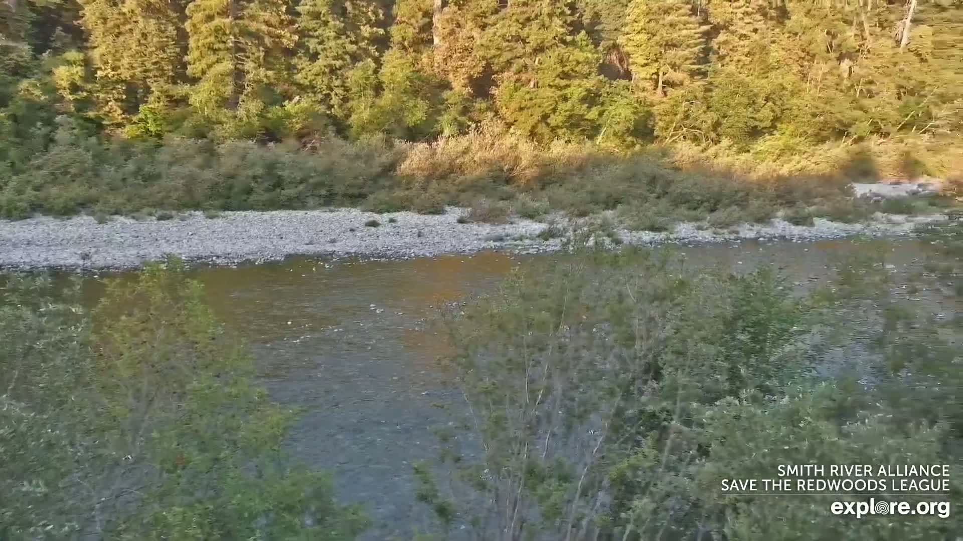 Crescent City, Jedediah Smith Redwoods State Park & Smith River Live Cam - Crescent City, Del Norte, California, USA
