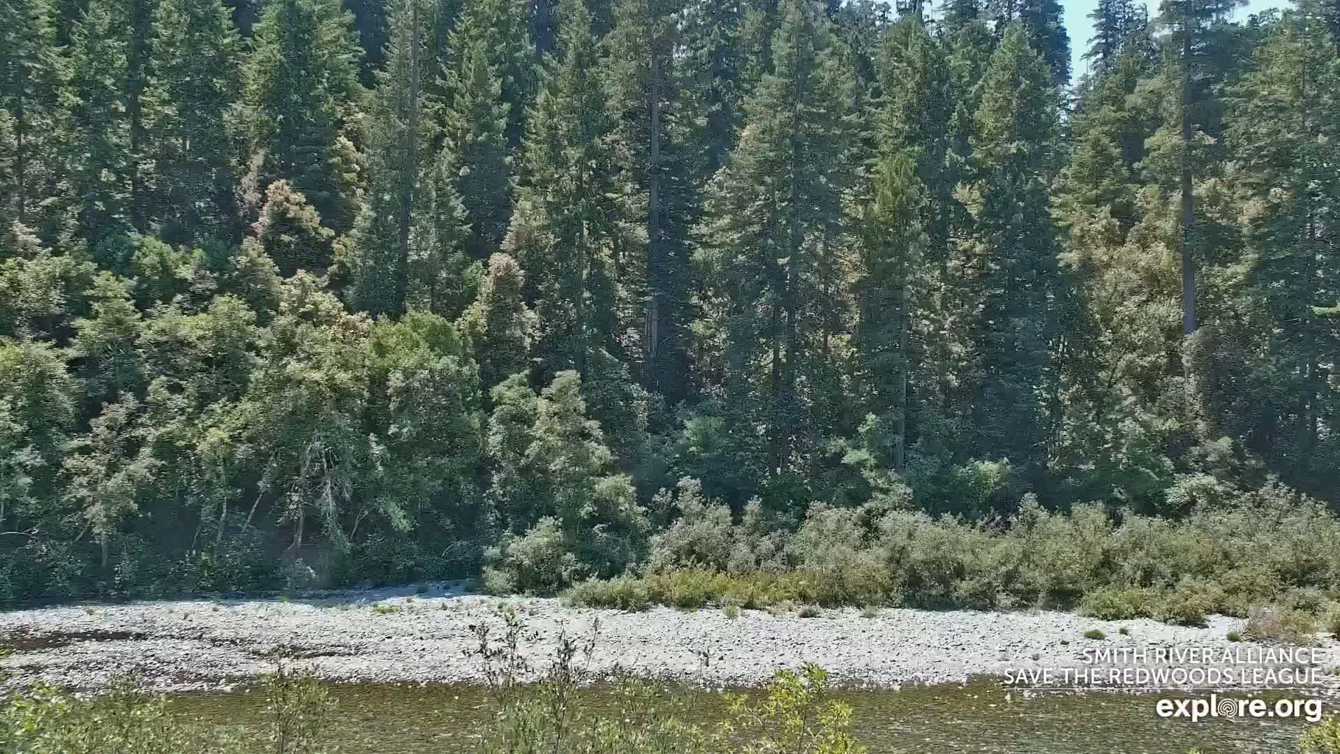 Crescent City, Jedediah Smith Redwoods State Park & Smith River Live Cam - Crescent City, Del Norte, California, USA