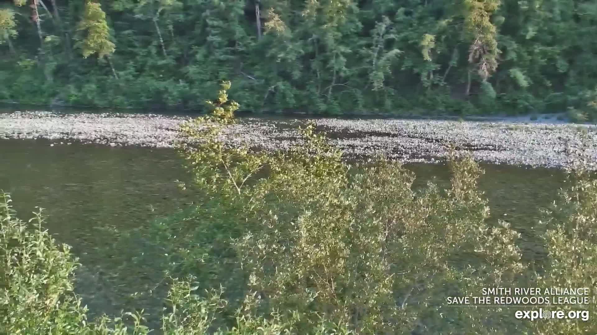 Crescent City, Jedediah Smith Redwoods State Park & Smith River Live Cam - Crescent City, Del Norte, California, USA