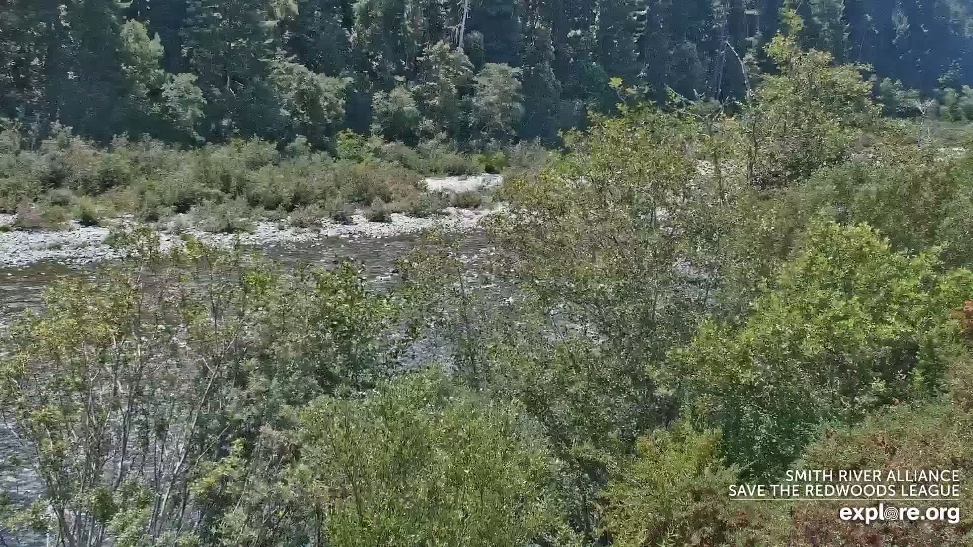 Crescent City, Jedediah Smith Redwoods State Park & Smith River Live Cam - Crescent City, Del Norte, California, USA
