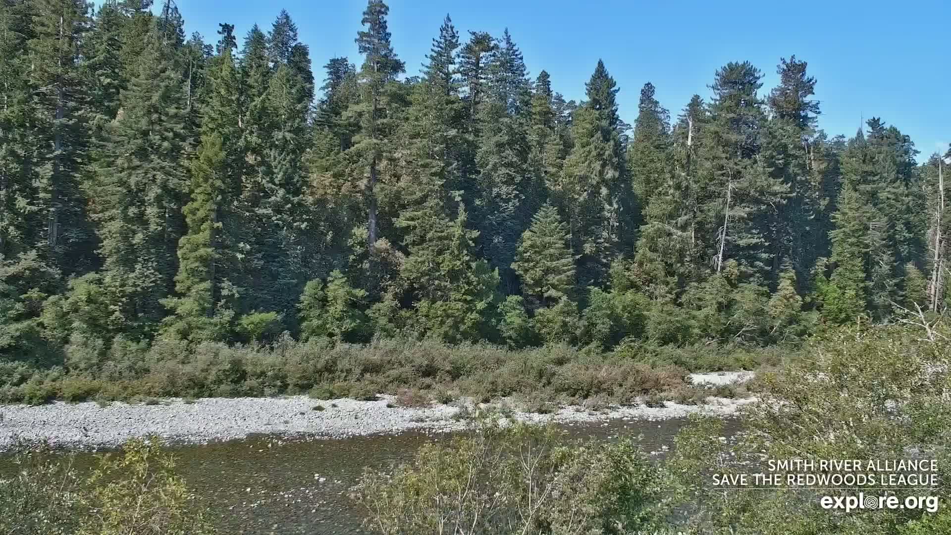 Crescent City, Jedediah Smith Redwoods State Park & Smith River Live Cam - Crescent City, Del Norte, California, USA