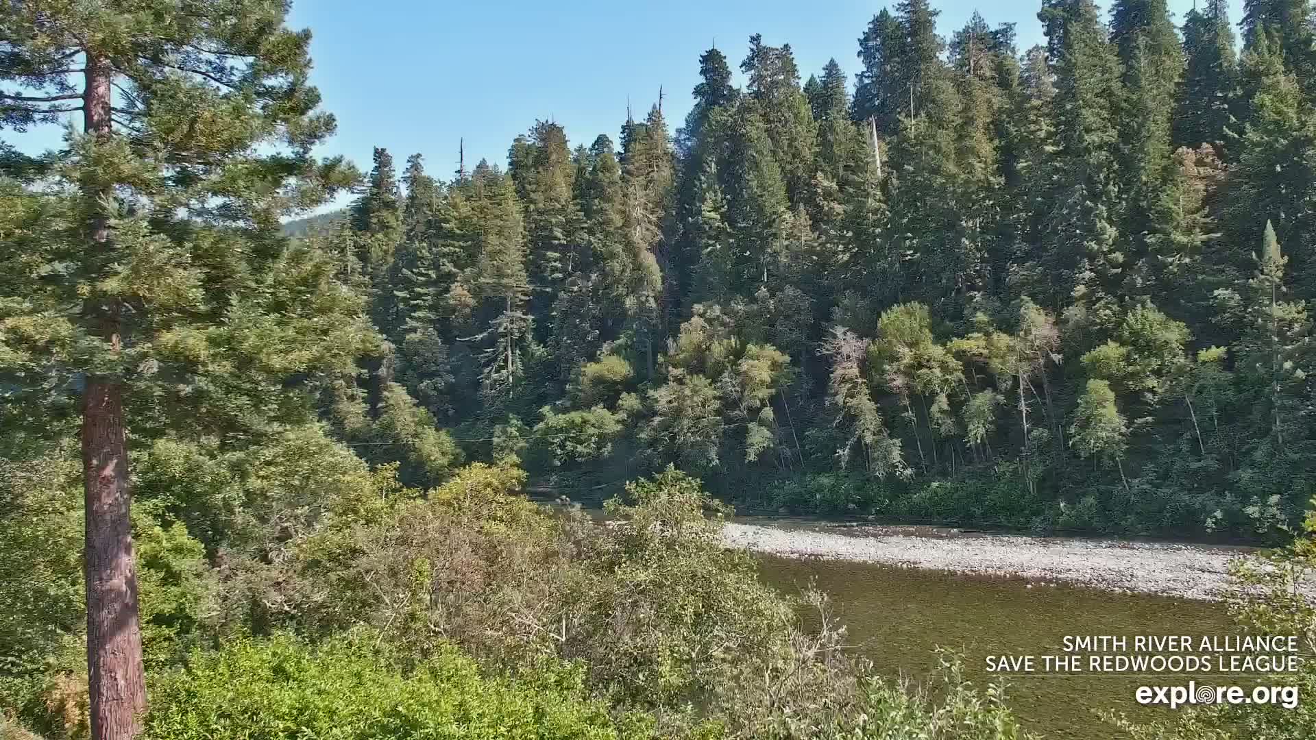 Crescent City, Jedediah Smith Redwoods State Park & Smith River Live Cam - Crescent City, Del Norte, California, USA