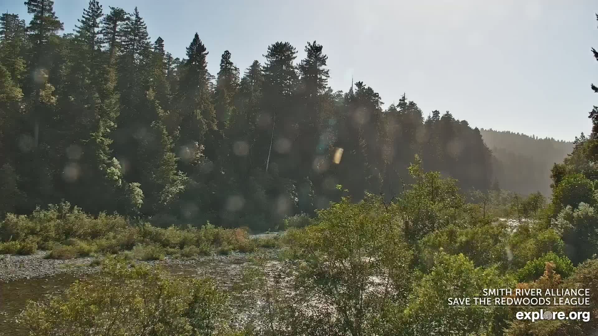 Crescent City, Jedediah Smith Redwoods State Park & Smith River Live Cam - Crescent City, Del Norte, California, USA