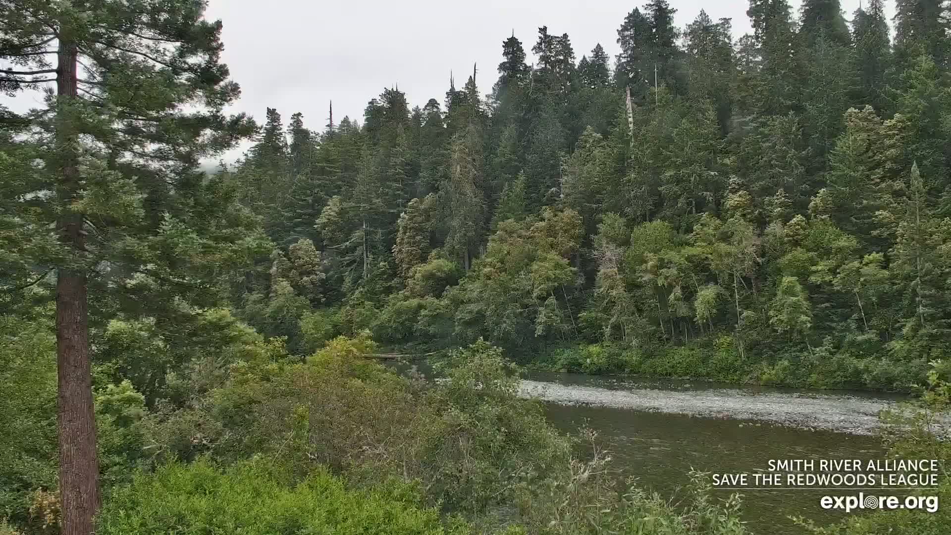 Crescent City, Jedediah Smith Redwoods State Park & Smith River Live Cam - Crescent City, Del Norte, California, USA