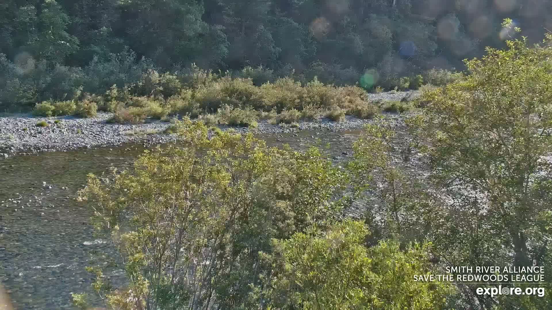 Crescent City, Jedediah Smith Redwoods State Park & Smith River Live Cam - Crescent City, Del Norte, California, USA