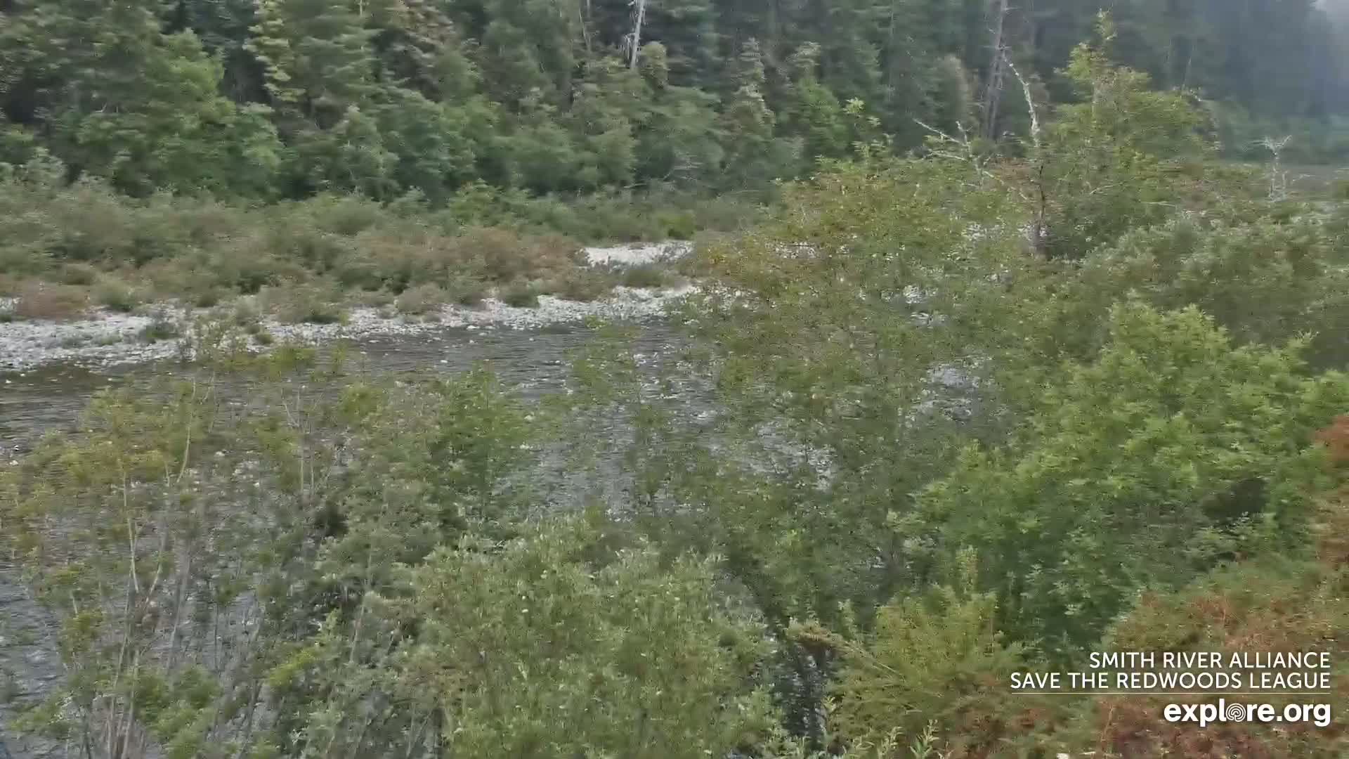 Crescent City, Jedediah Smith Redwoods State Park & Smith River Live Cam - Crescent City, Del Norte, California, USA