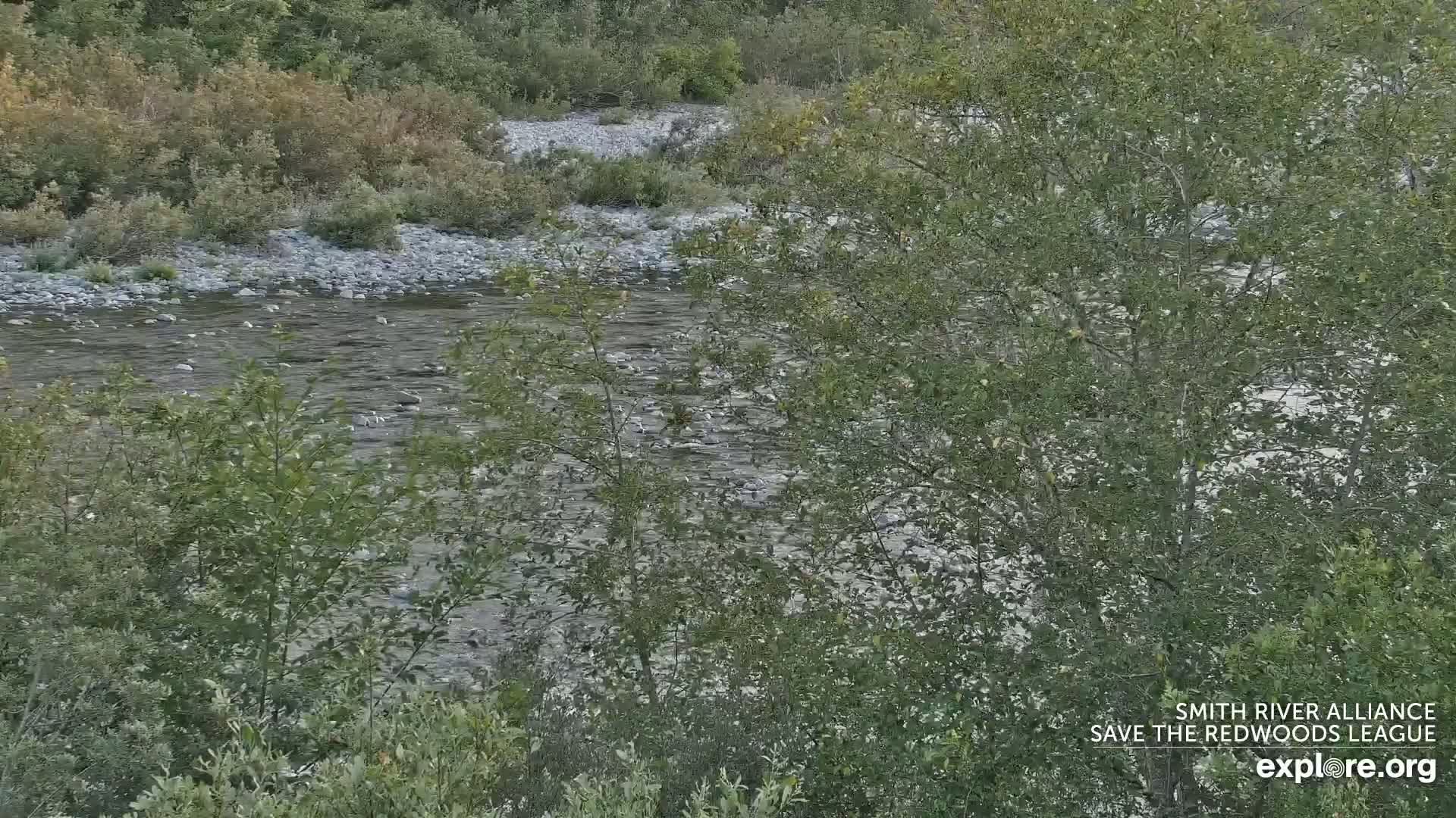Crescent City, Jedediah Smith Redwoods State Park & Smith River Live Cam - Crescent City, Del Norte, California, USA