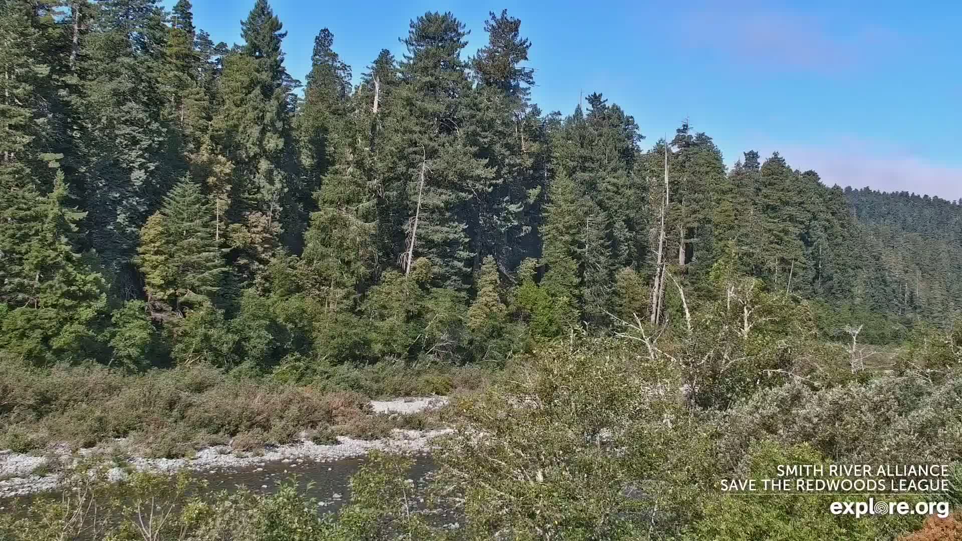 Crescent City, Jedediah Smith Redwoods State Park & Smith River Live Cam - Crescent City, Del Norte, California, USA