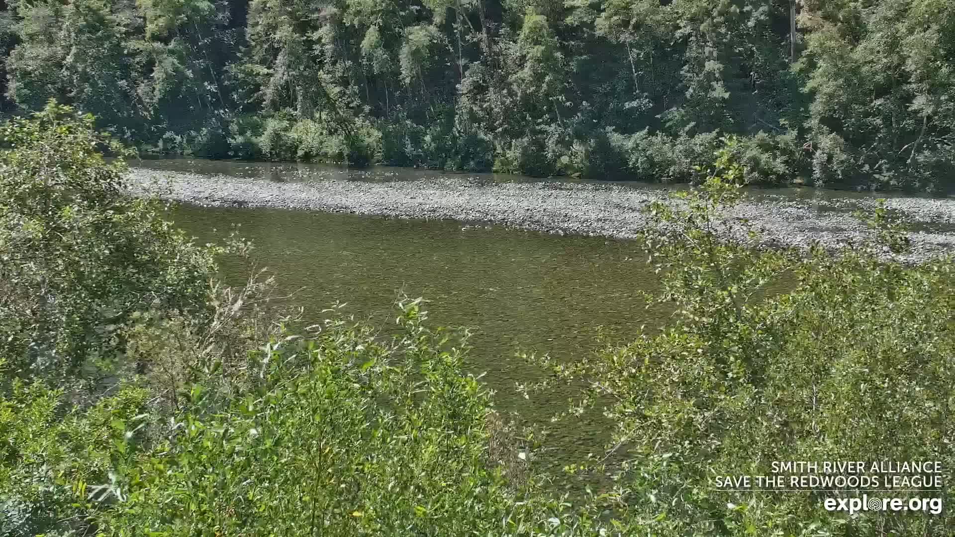 Crescent City, Jedediah Smith Redwoods State Park & Smith River Live Cam - Crescent City, Del Norte, California, USA
