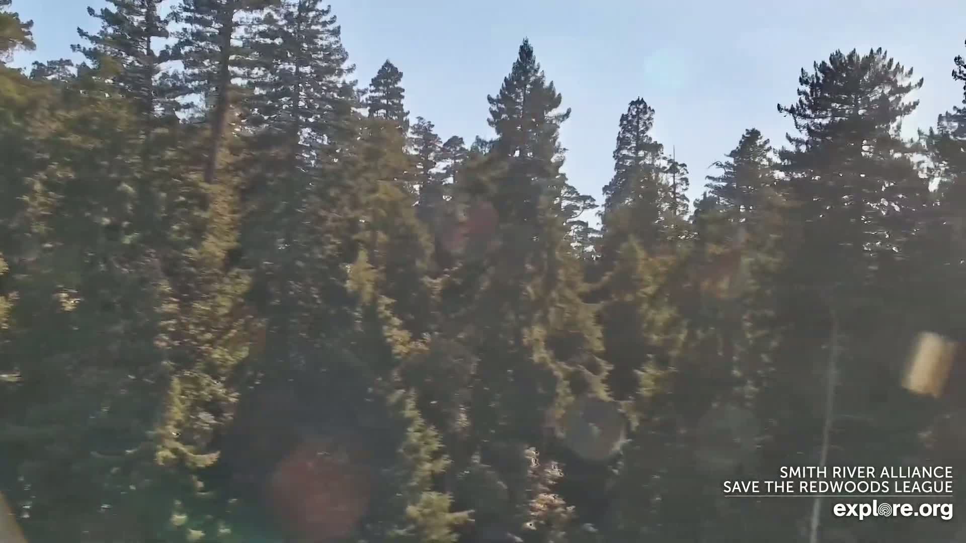 Crescent City, Jedediah Smith Redwoods State Park & Smith River Live Cam - Crescent City, Del Norte, California, USA