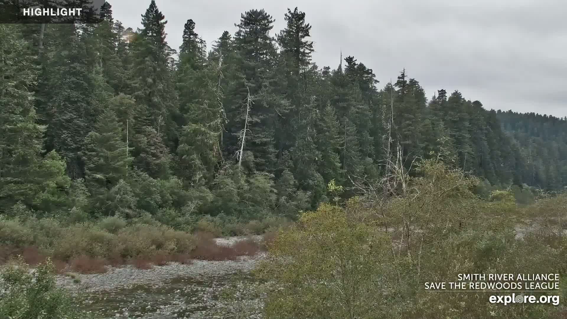 Crescent City, Jedediah Smith Redwoods State Park & Smith River Live Cam - Crescent City, Del Norte, California, USA