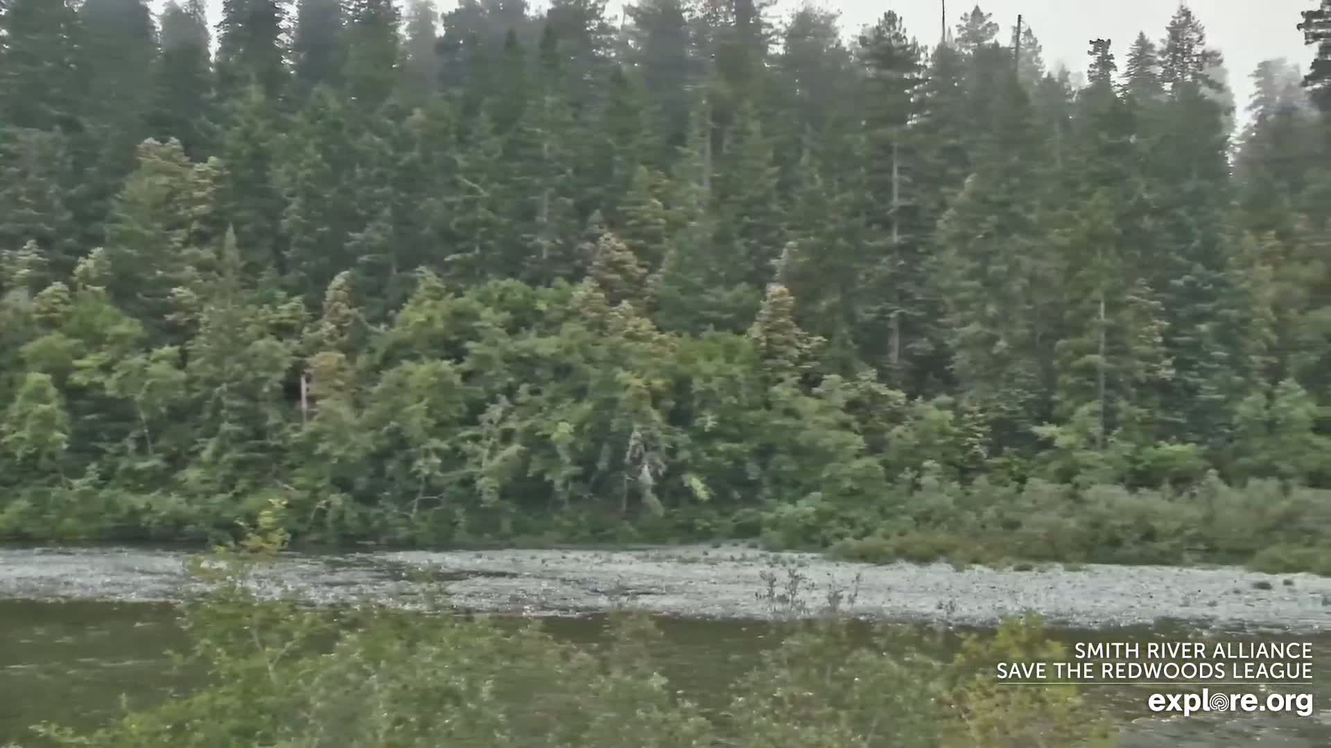 Crescent City, Jedediah Smith Redwoods State Park & Smith River Live Cam - Crescent City, Del Norte, California, USA
