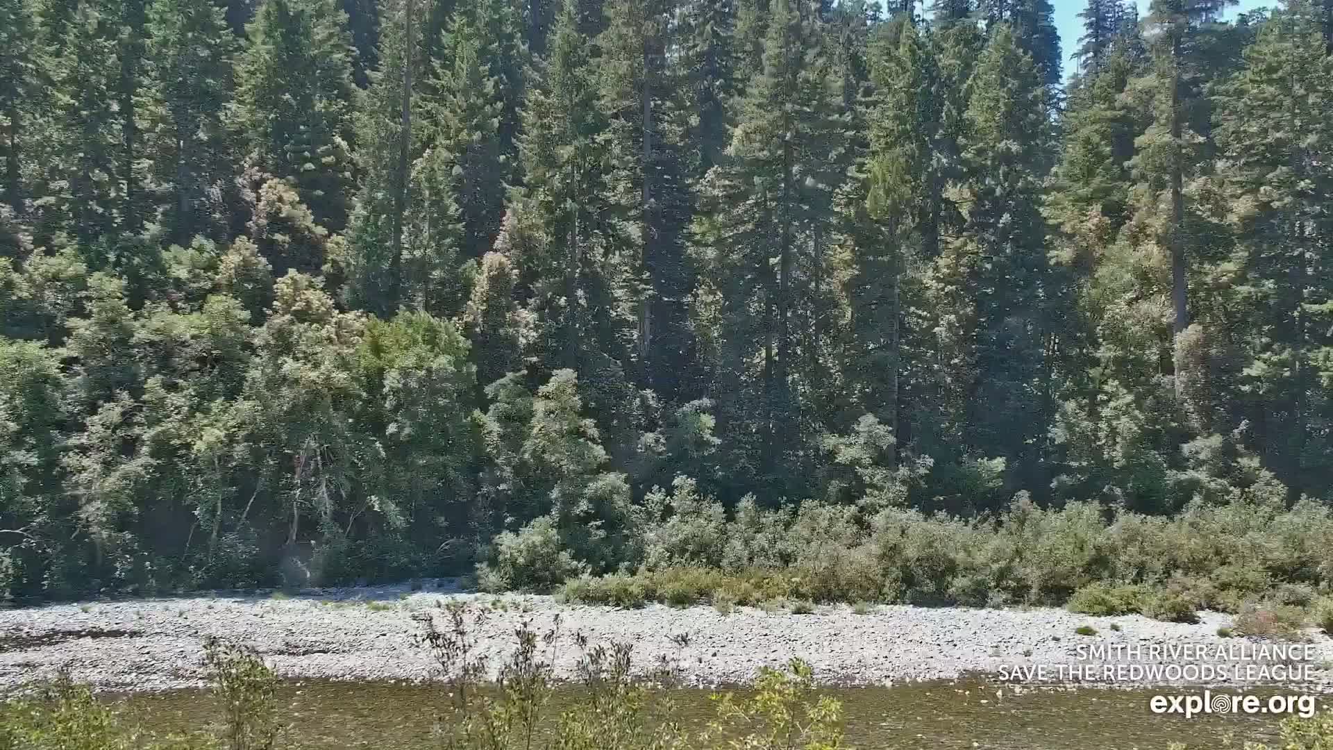 Crescent City, Jedediah Smith Redwoods State Park & Smith River Live Cam - Crescent City, Del Norte, California, USA