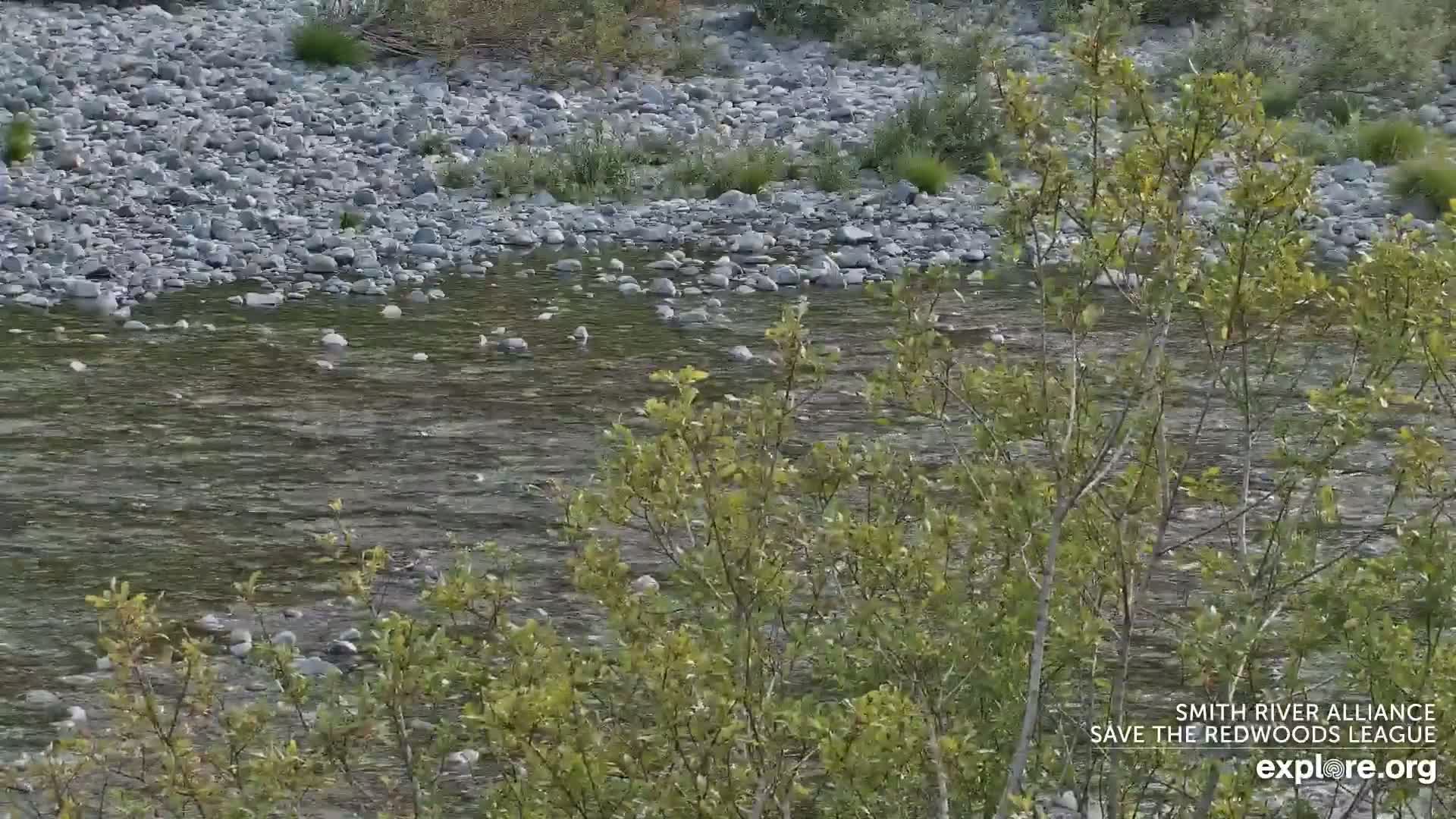 Crescent City, Jedediah Smith Redwoods State Park & Smith River Live Cam - Crescent City, Del Norte, California, USA