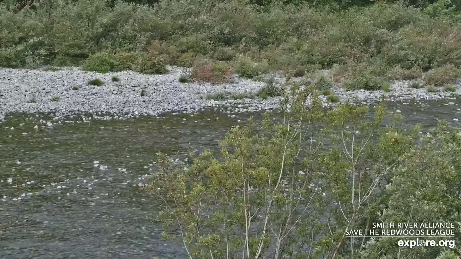 Crescent City, Jedediah Smith Redwoods State Park & Smith River Live Cam - Crescent City, Del Norte, California, USA