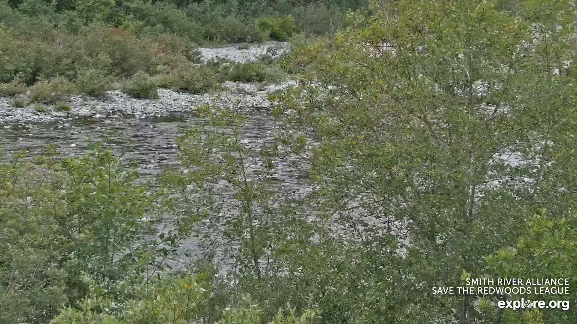 Crescent City, Jedediah Smith Redwoods State Park & Smith River Live Cam - Crescent City, Del Norte, California, USA