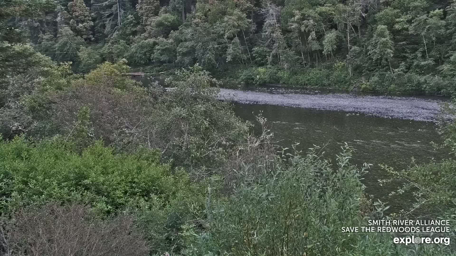 Crescent City, Jedediah Smith Redwoods State Park & Smith River Live Cam - Crescent City, Del Norte, California, USA