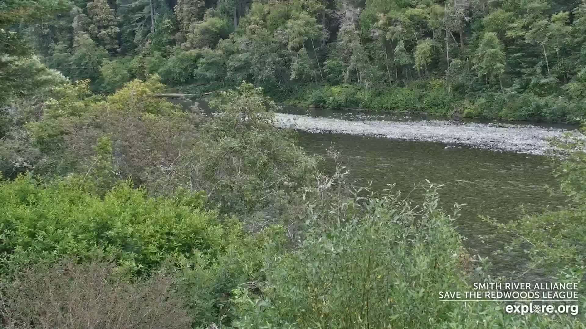 Crescent City, Jedediah Smith Redwoods State Park & Smith River Live Cam - Crescent City, Del Norte, California, USA