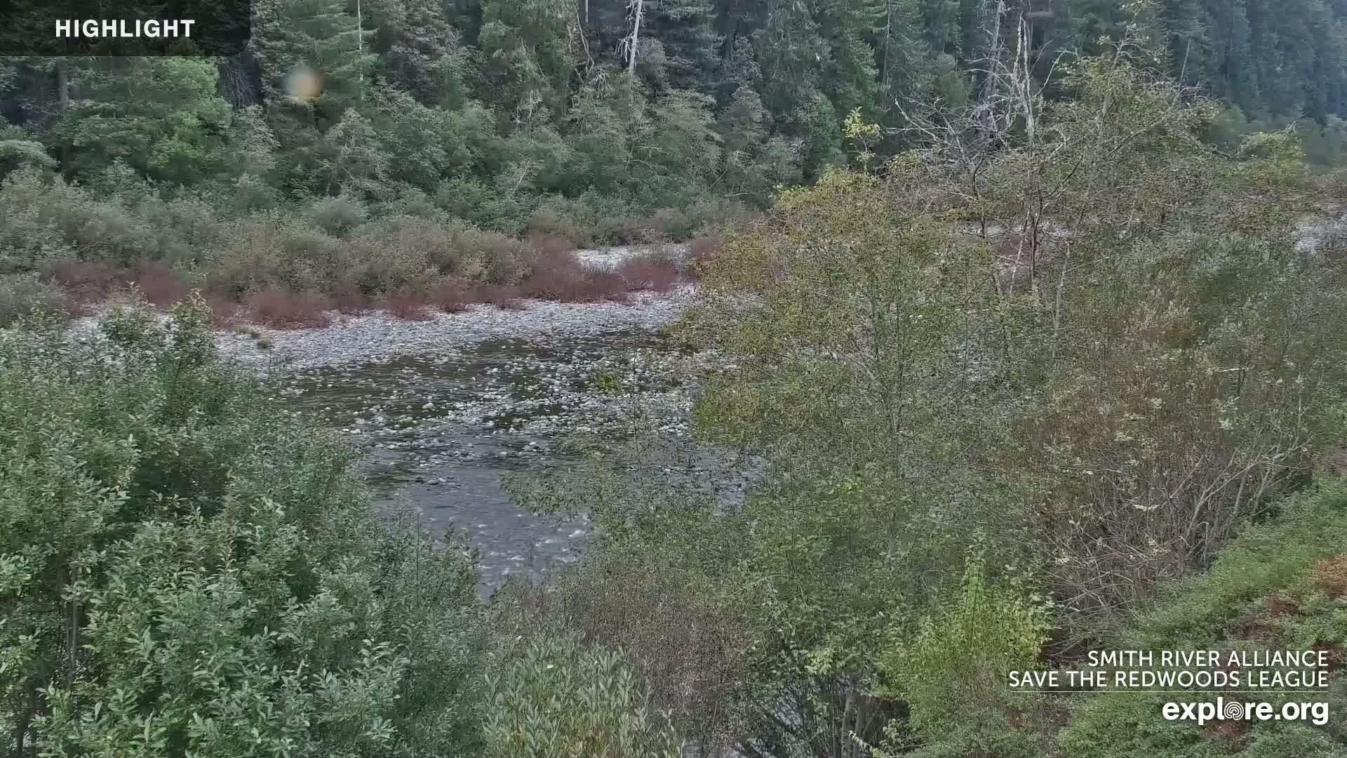 Crescent City, Jedediah Smith Redwoods State Park & Smith River Live Cam - Crescent City, Del Norte, California, USA