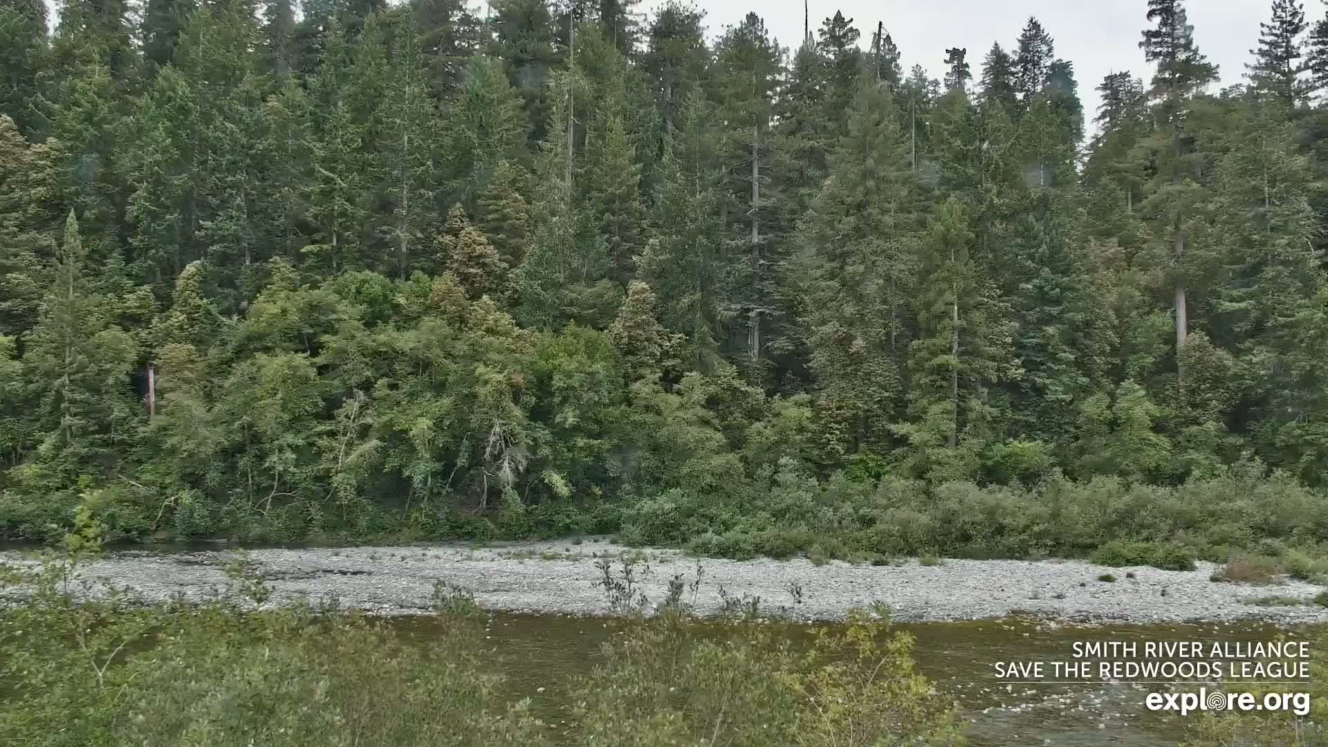 Crescent City, Jedediah Smith Redwoods State Park & Smith River Live Cam - Crescent City, Del Norte, California, USA