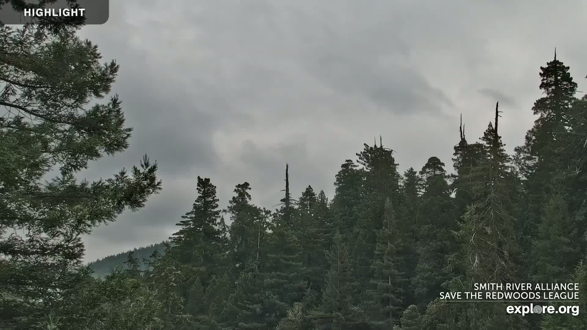 Crescent City, Jedediah Smith Redwoods State Park & Smith River Live Cam - Crescent City, Del Norte, California, USA