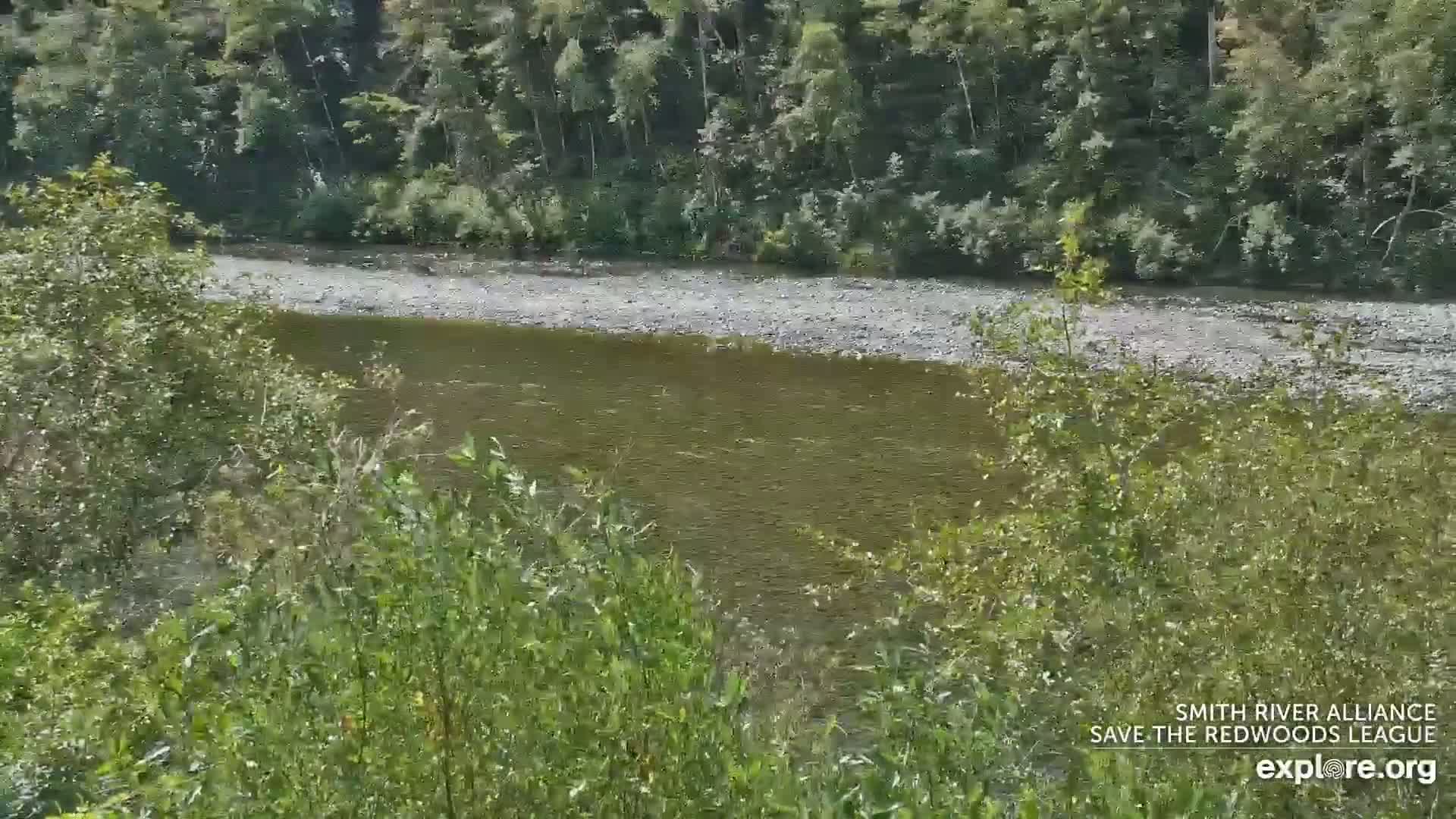Crescent City, Jedediah Smith Redwoods State Park & Smith River Live Cam - Crescent City, Del Norte, California, USA
