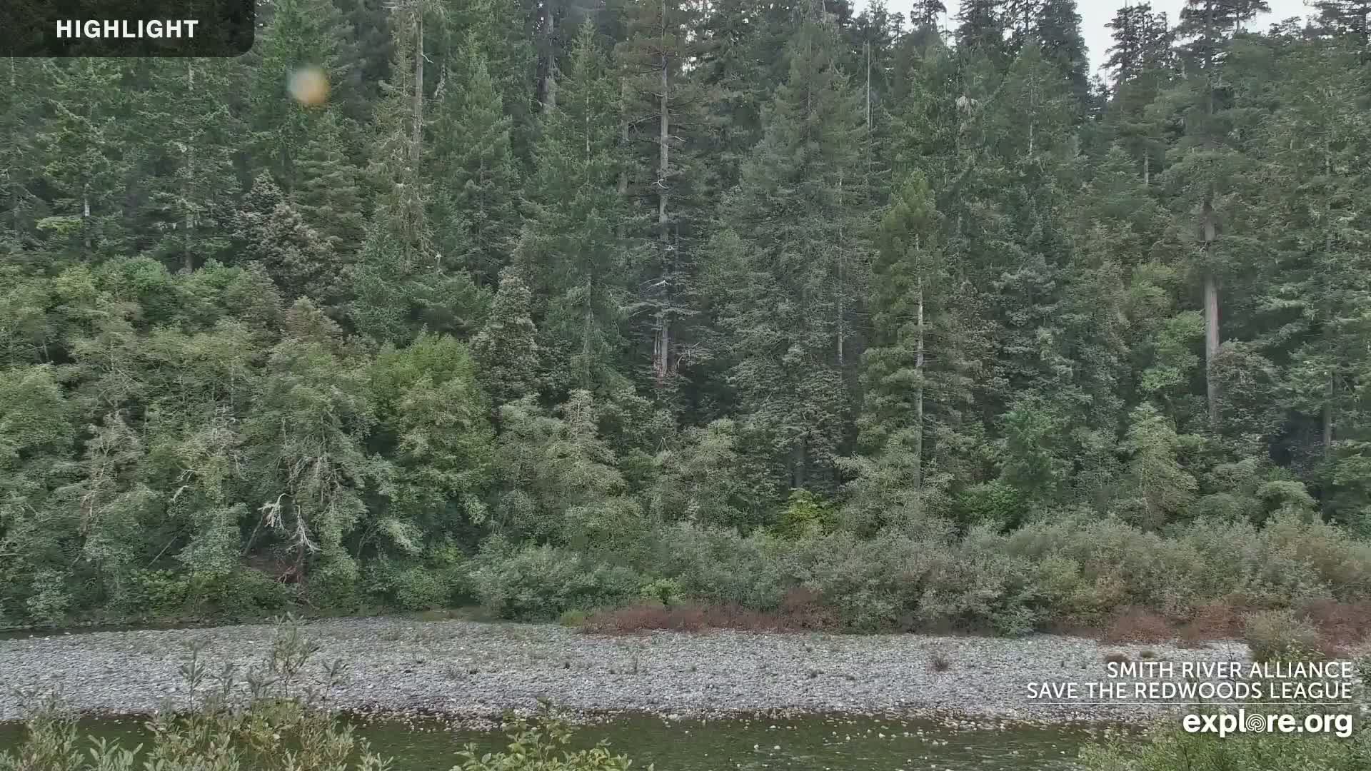 Crescent City, Jedediah Smith Redwoods State Park & Smith River Live Cam - Crescent City, Del Norte, California, USA