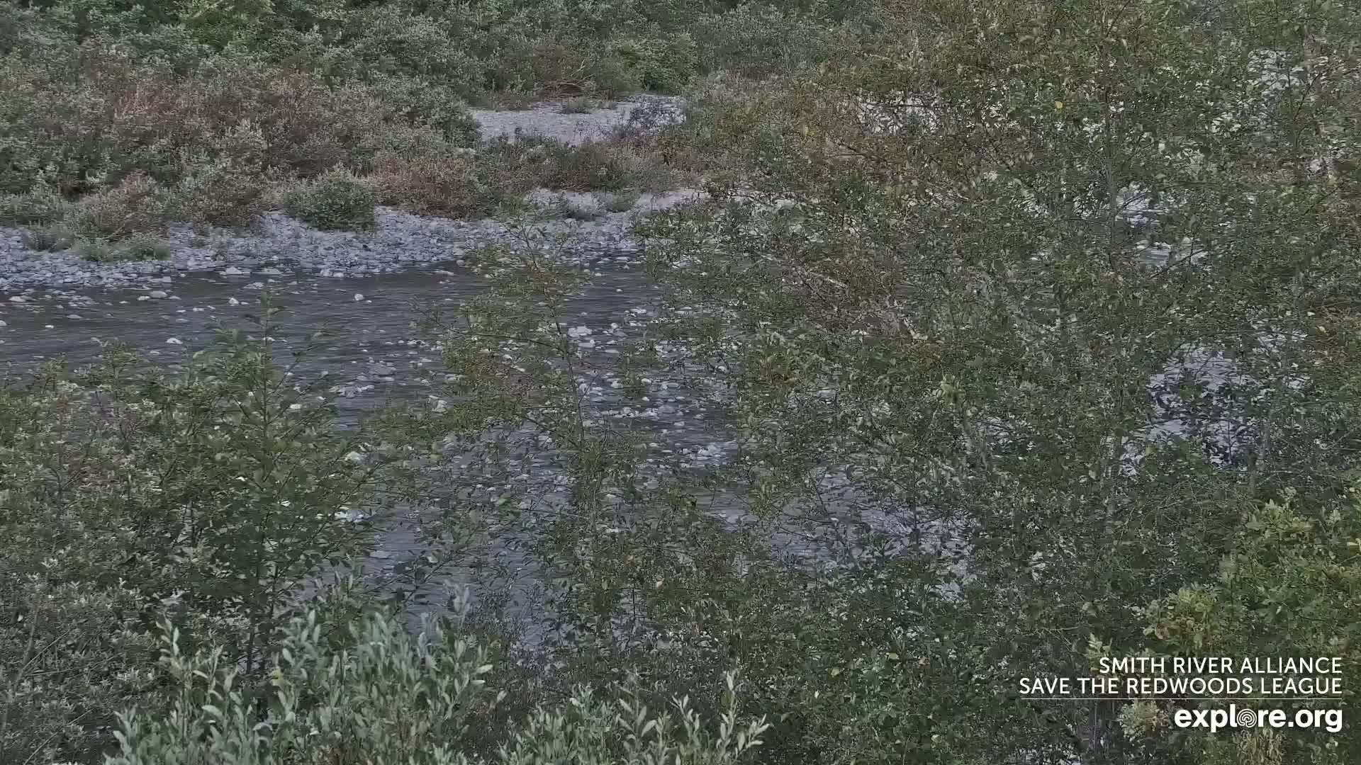 Crescent City, Jedediah Smith Redwoods State Park & Smith River Live Cam - Crescent City, Del Norte, California, USA
