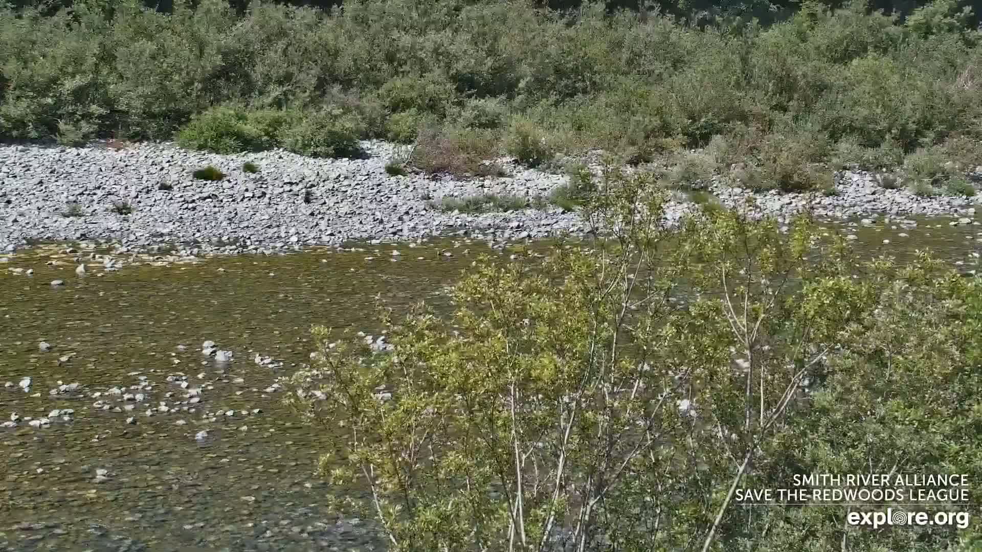 Crescent City, Jedediah Smith Redwoods State Park & Smith River Live Cam - Crescent City, Del Norte, California, USA