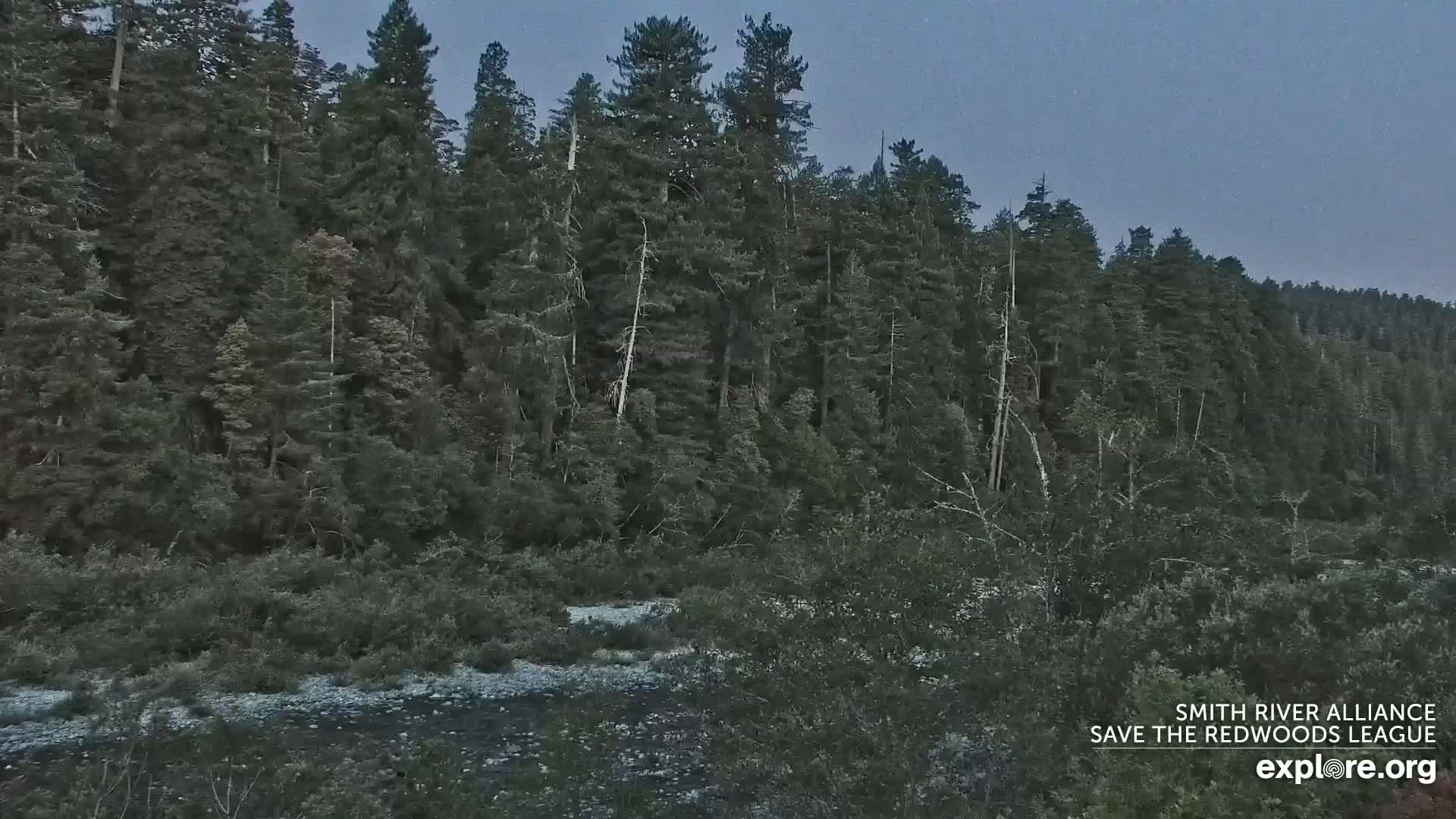 Crescent City, Jedediah Smith Redwoods State Park & Smith River Live Cam - Crescent City, Del Norte, California, USA
