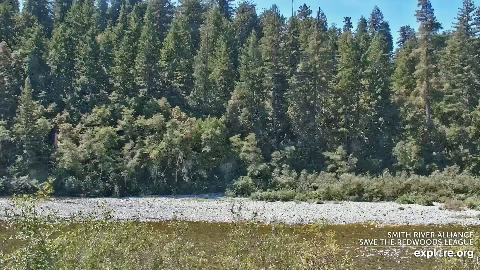 Crescent City, Jedediah Smith Redwoods State Park & Smith River Live Cam - Crescent City, Del Norte, California, USA