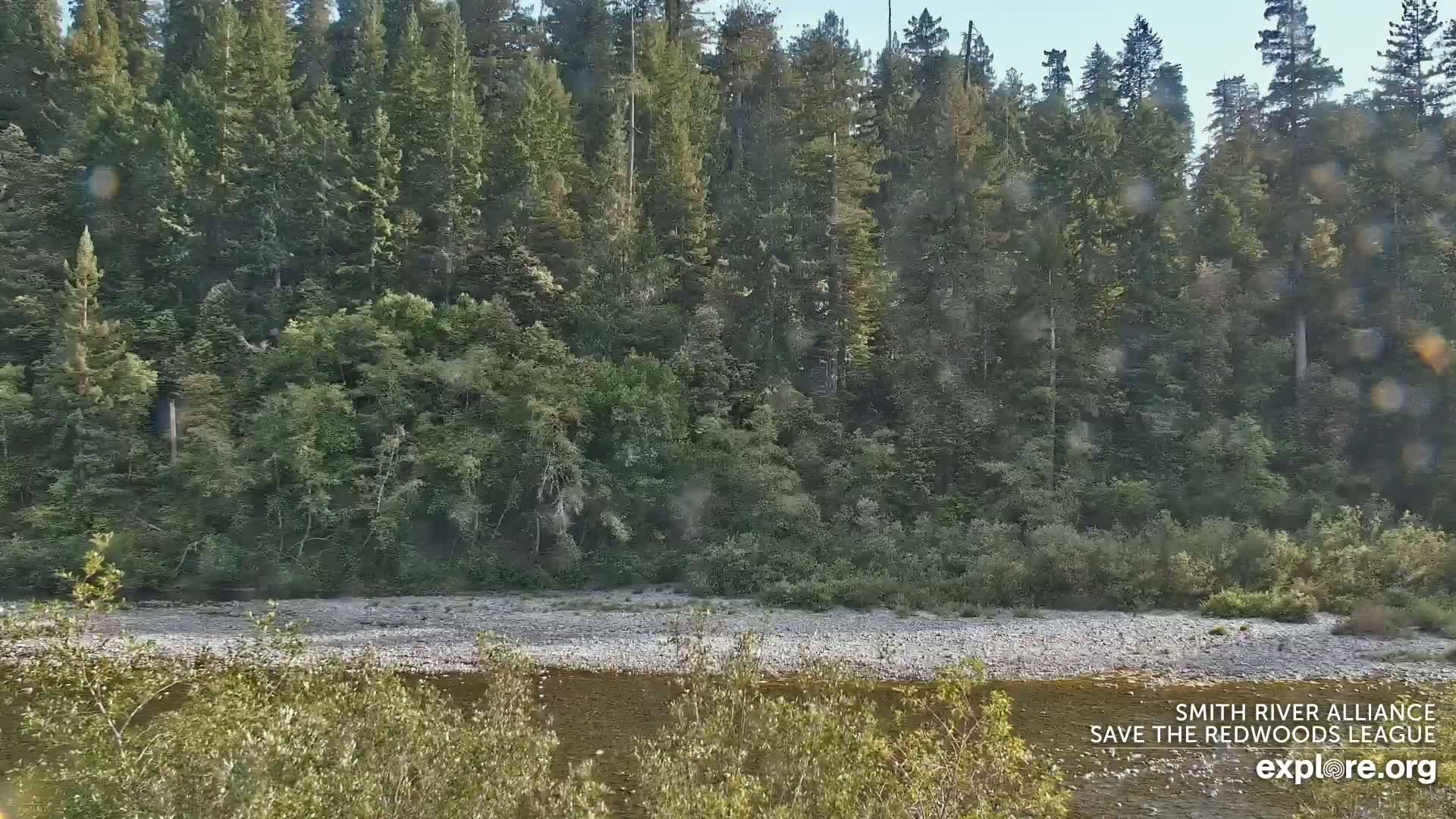 Crescent City, Jedediah Smith Redwoods State Park & Smith River Live Cam - Crescent City, Del Norte, California, USA