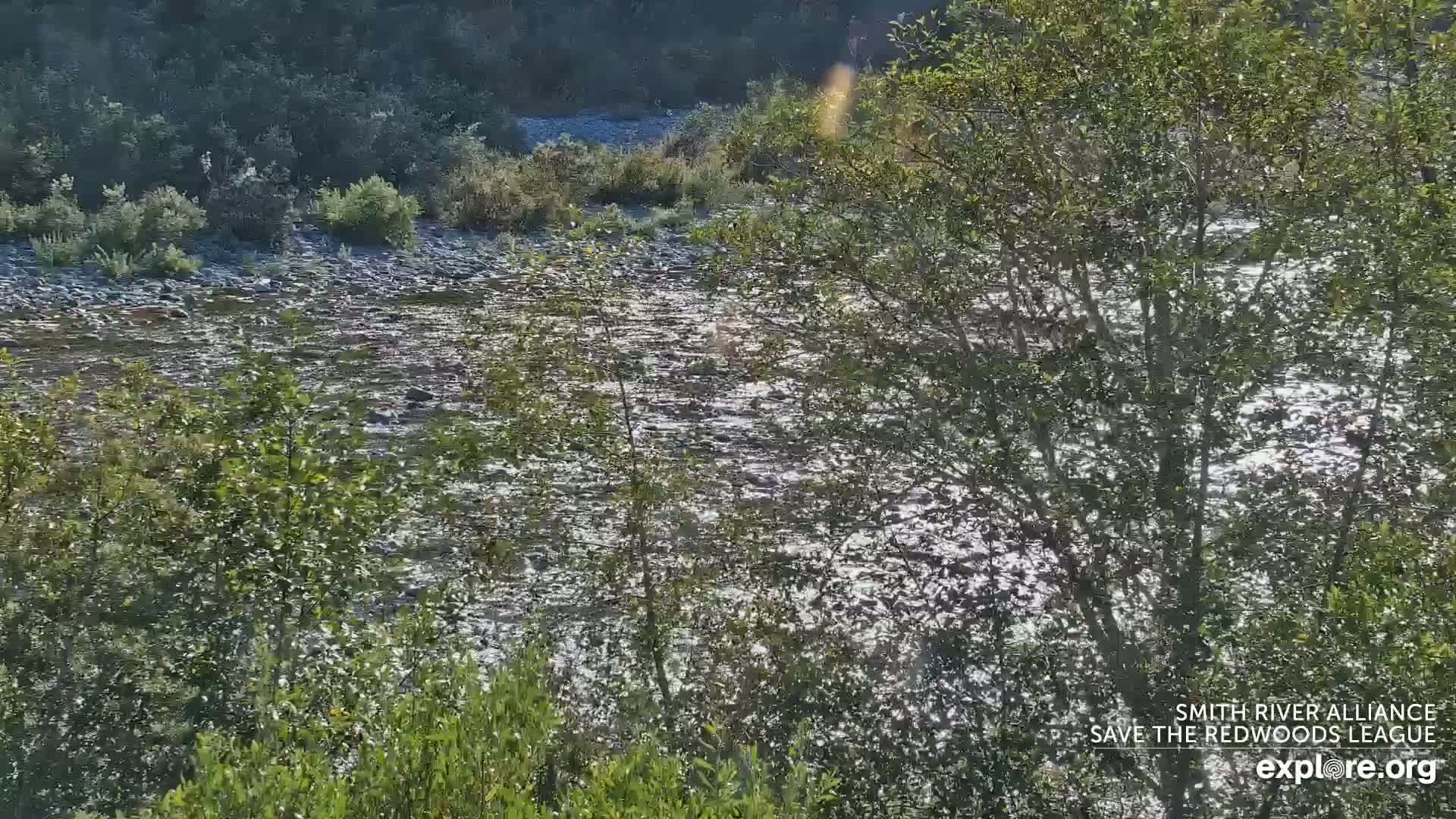 Crescent City, Jedediah Smith Redwoods State Park & Smith River Live Cam - Crescent City, Del Norte, California, USA