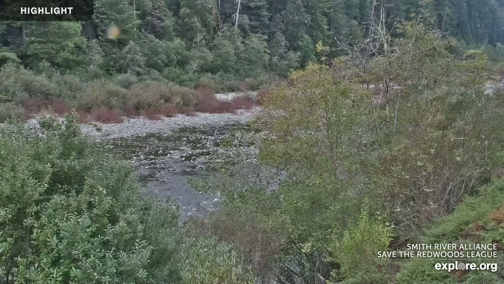Crescent City, Jedediah Smith Redwoods State Park & Smith River Live Cam - Crescent City, Del Norte, California, USA