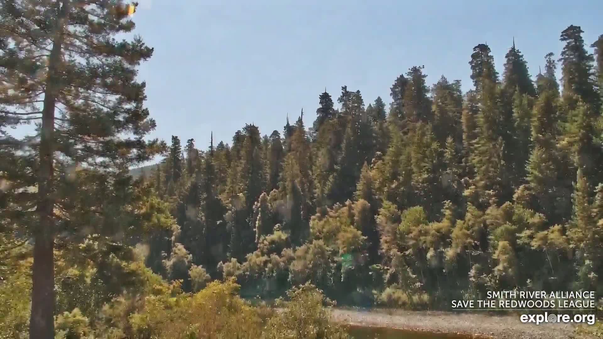 Crescent City, Jedediah Smith Redwoods State Park & Smith River Live Cam - Crescent City, Del Norte, California, USA