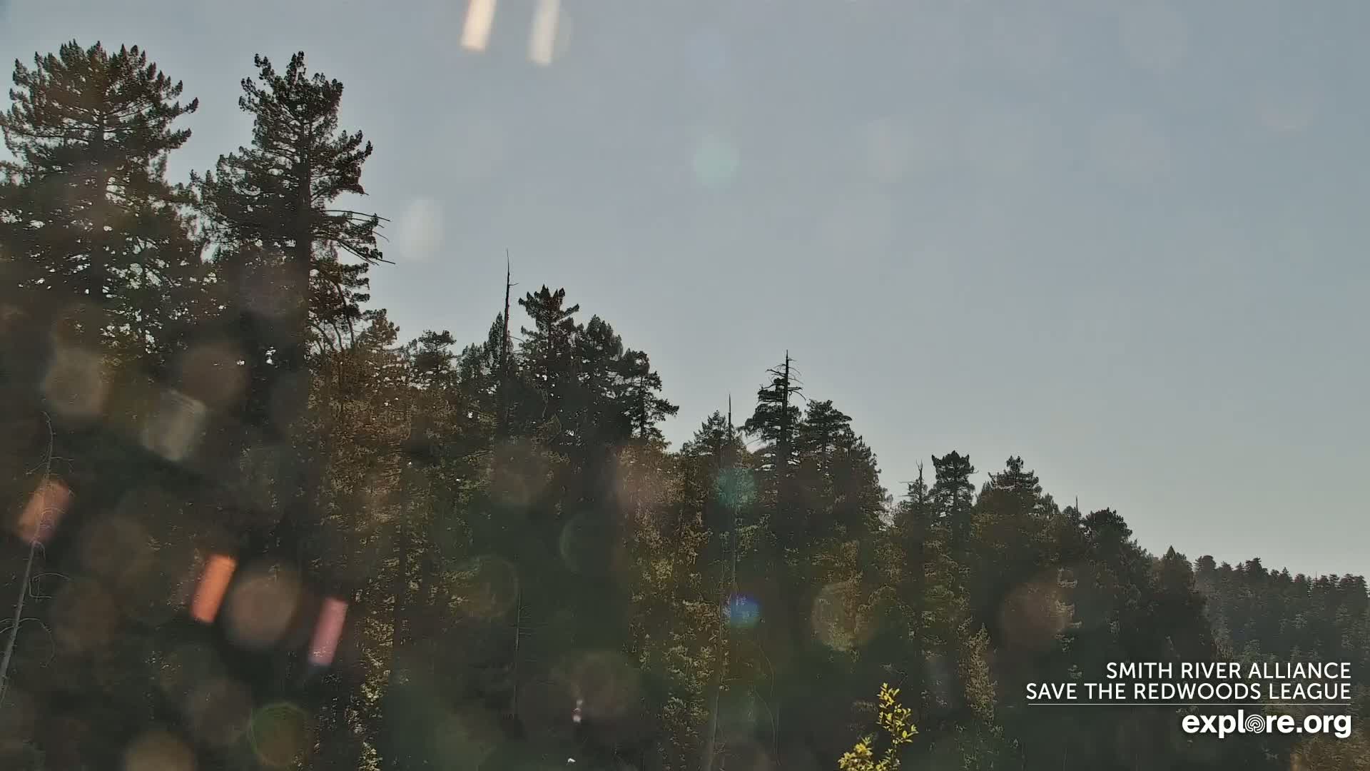 Crescent City, Jedediah Smith Redwoods State Park & Smith River Live Cam - Crescent City, Del Norte, California, USA