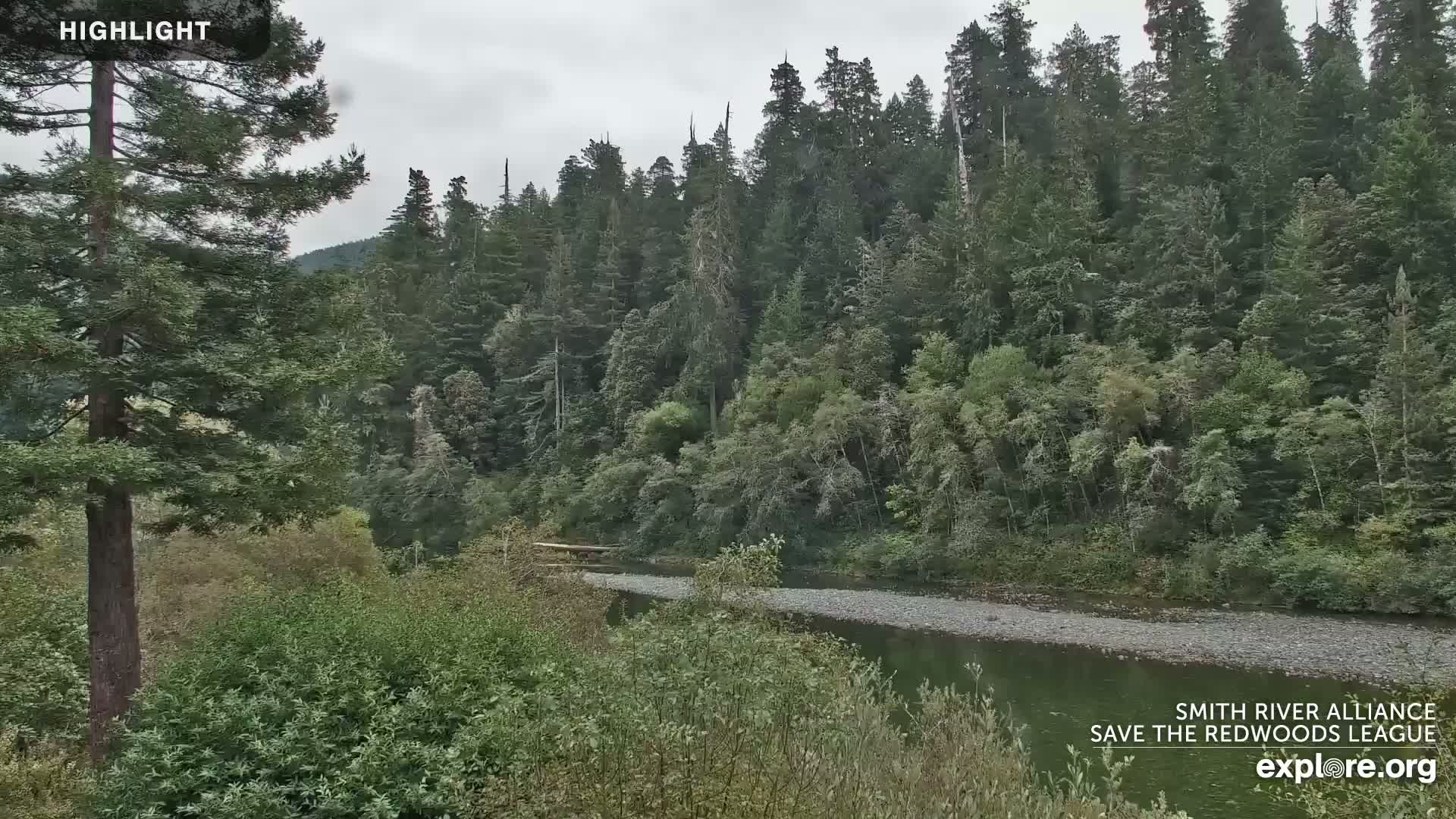 Crescent City, Jedediah Smith Redwoods State Park & Smith River Live Cam - Crescent City, Del Norte, California, USA